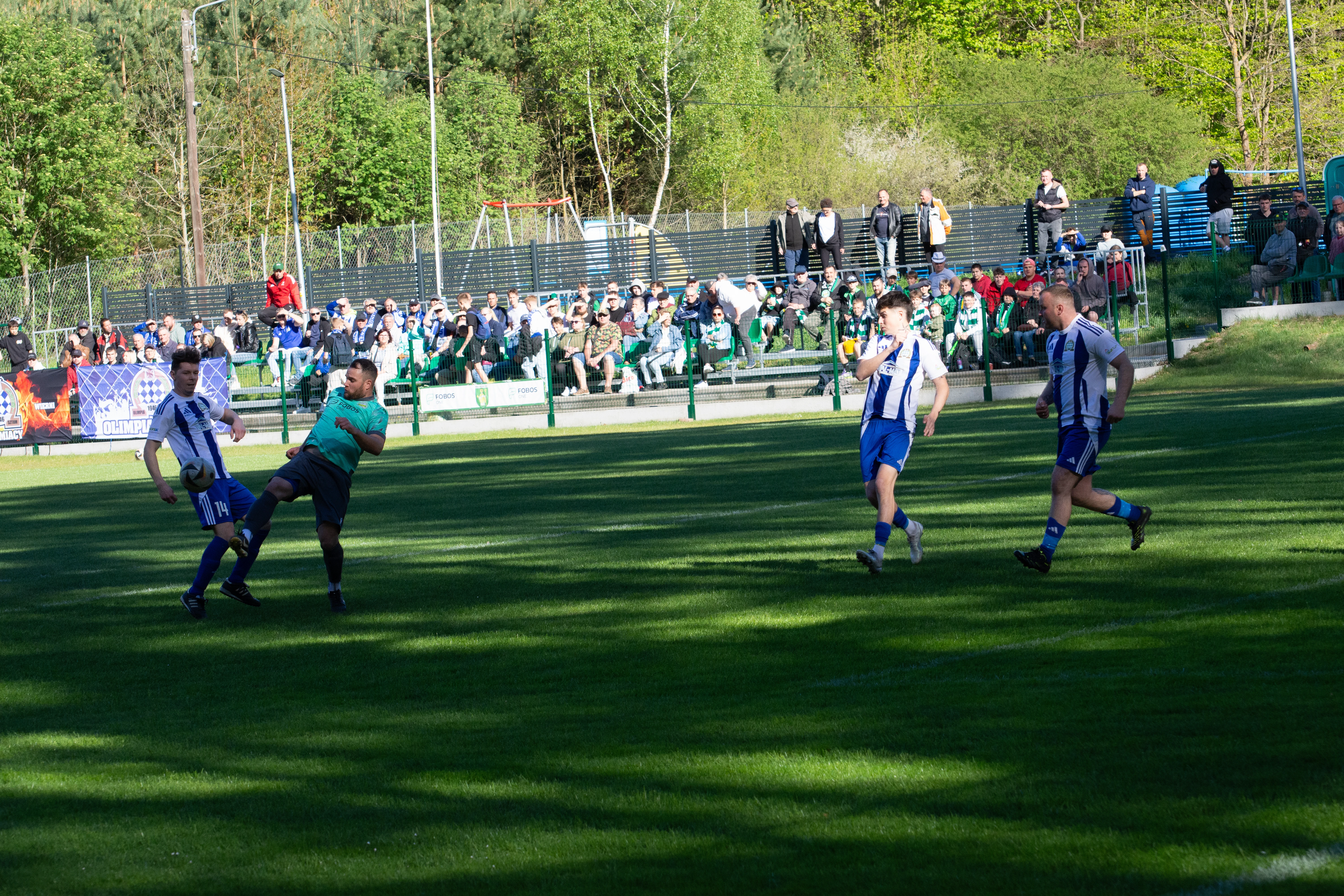 DSC_3831.webp
