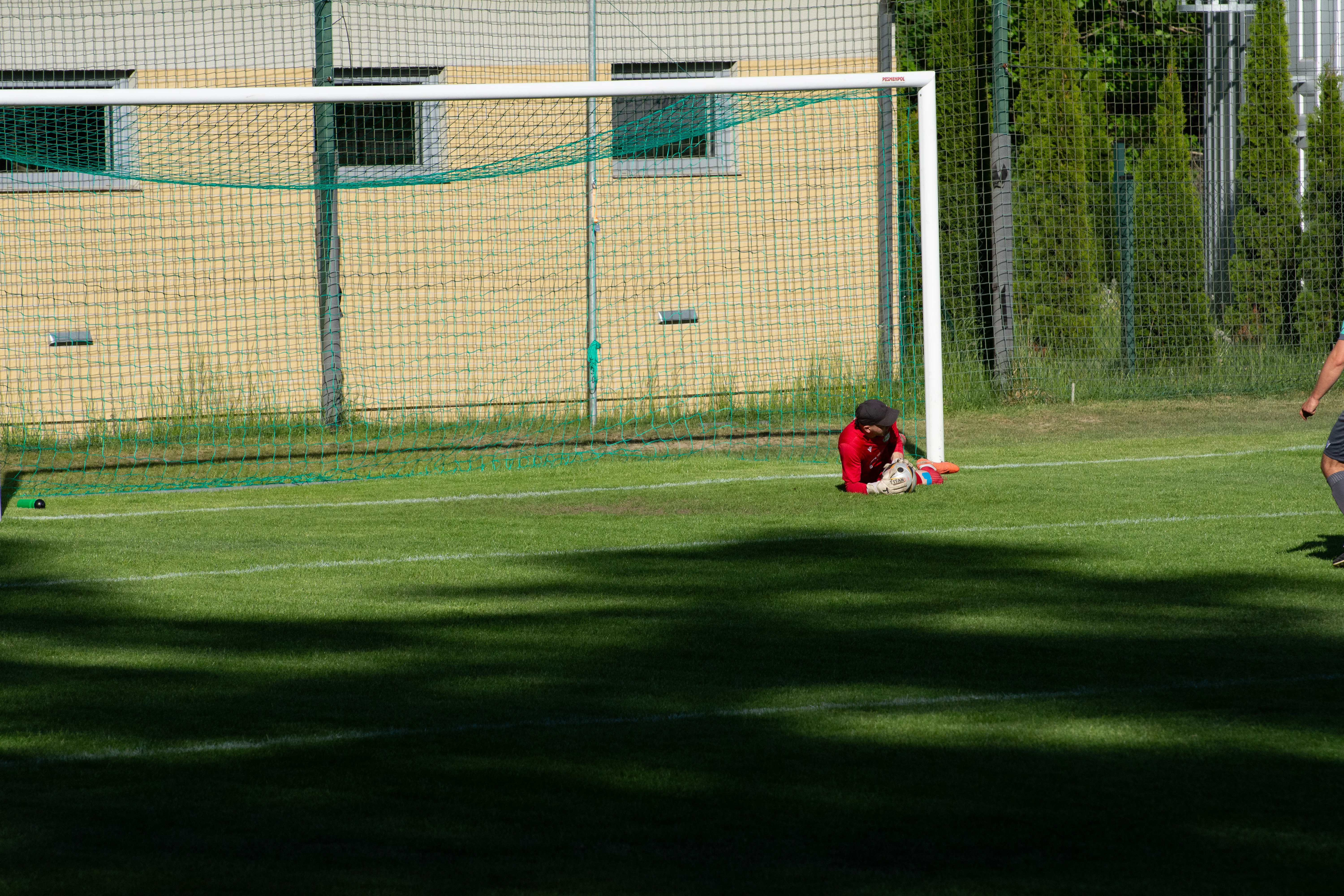 DSC_4130.webp