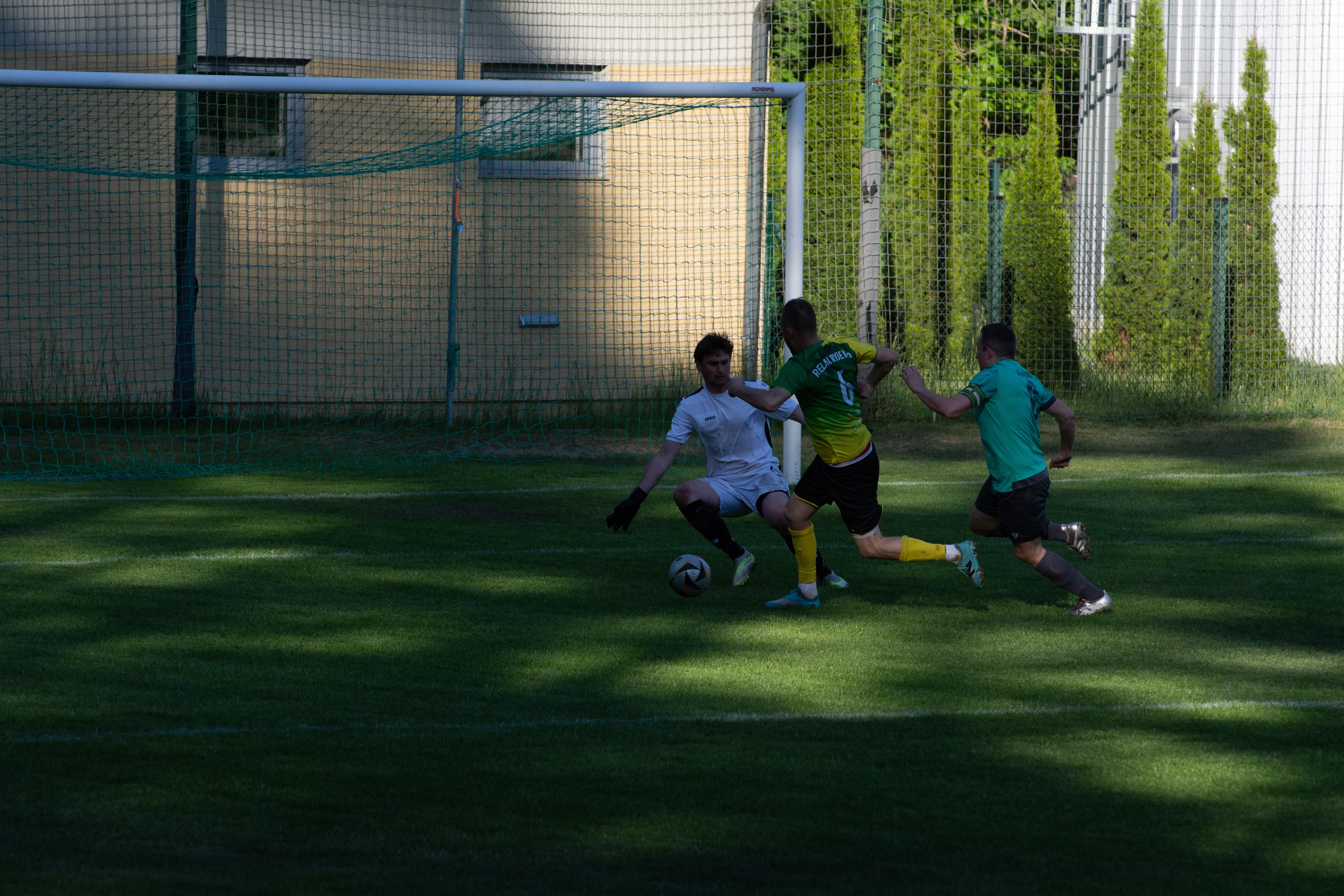 DSC_4169.webp