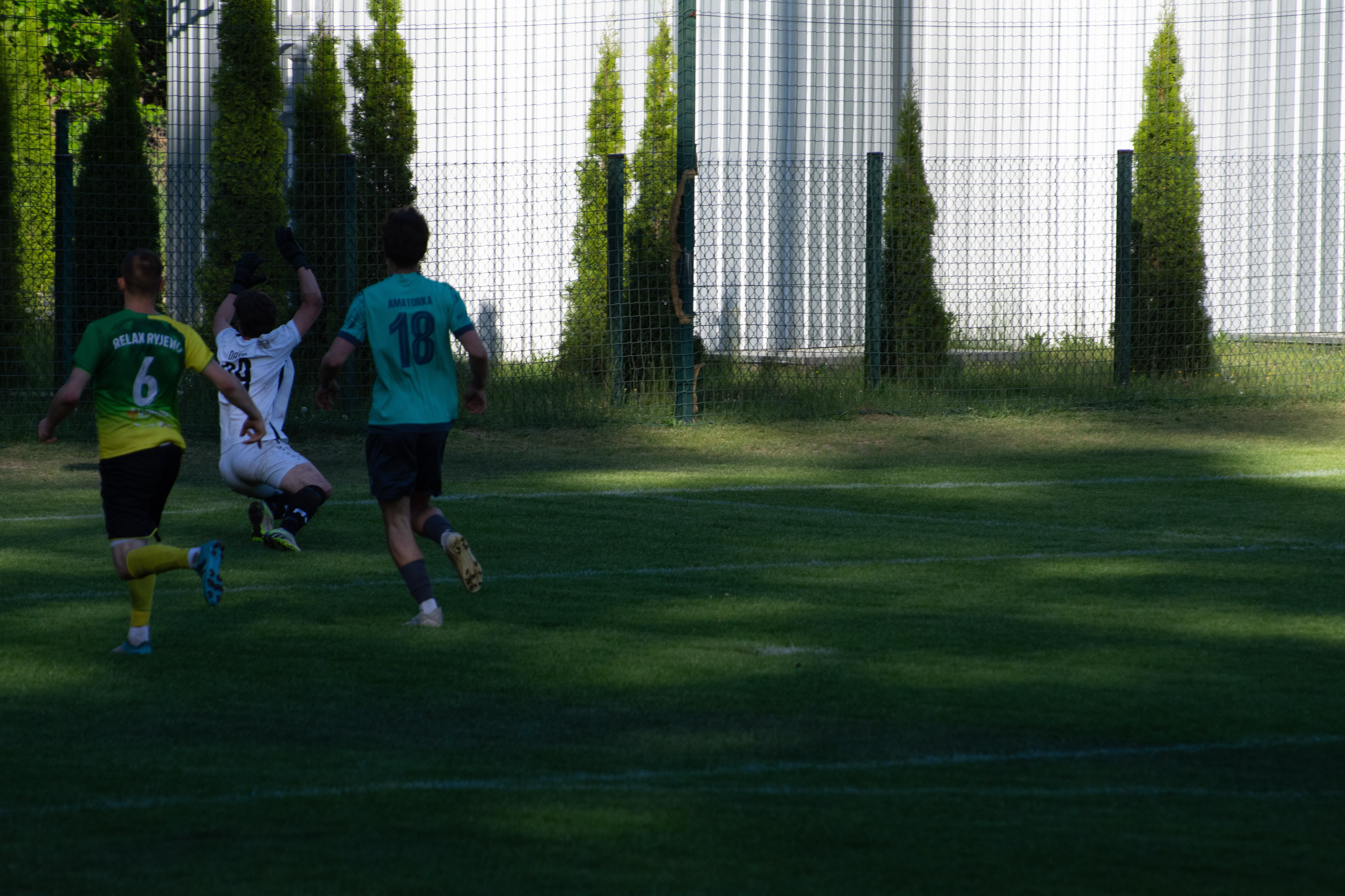 DSC_4187.webp