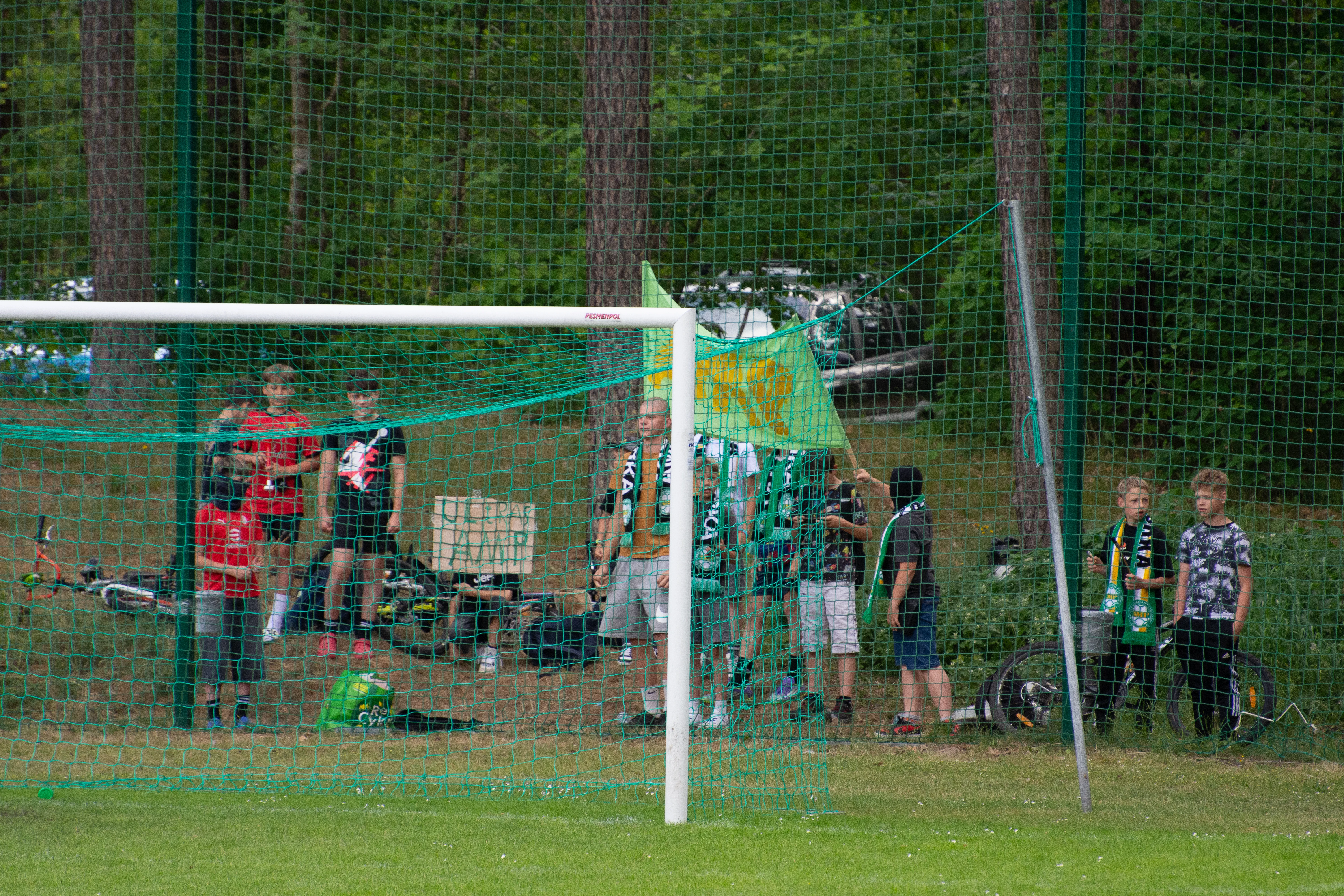 DSC_4527.webp