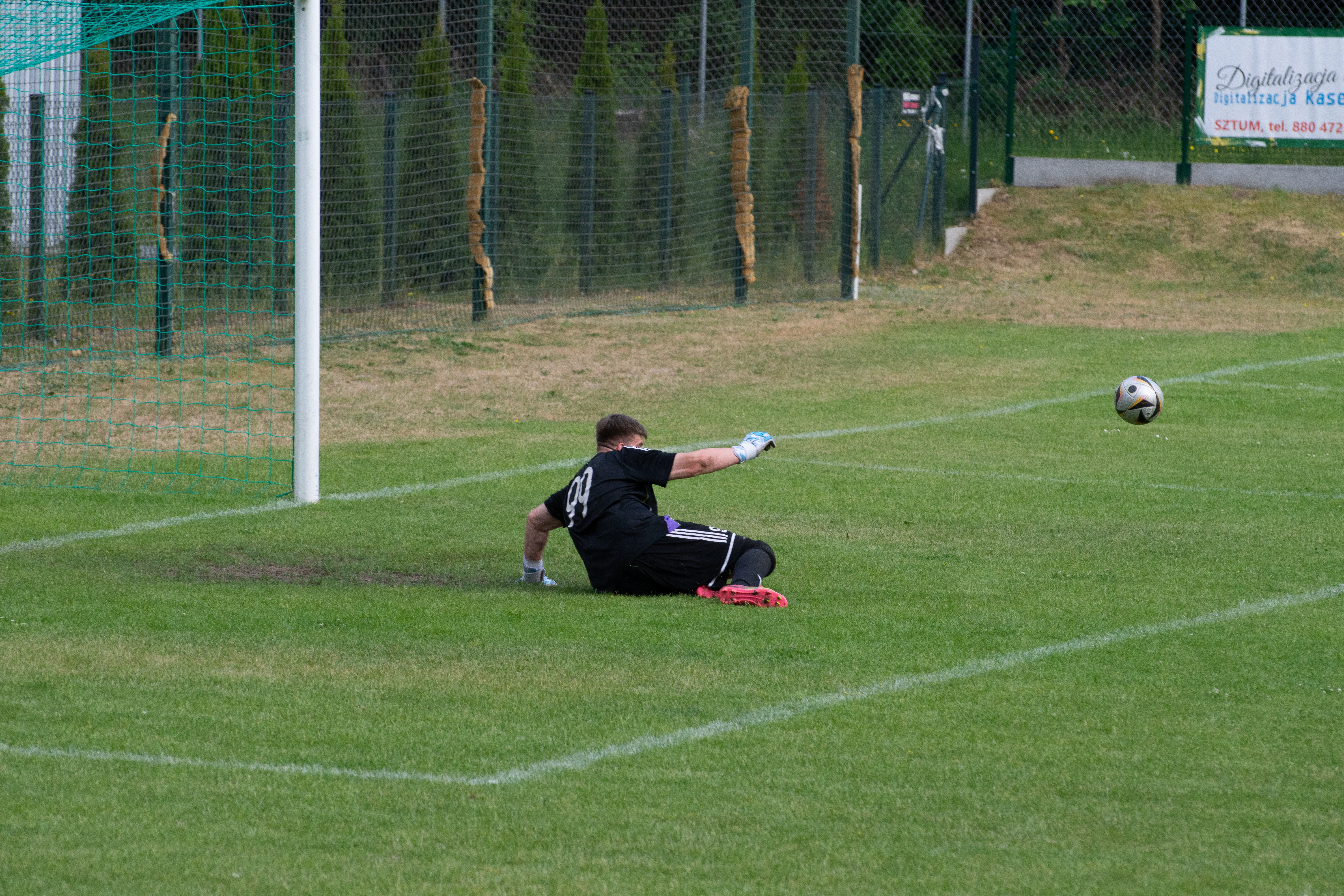 DSC_4528.webp