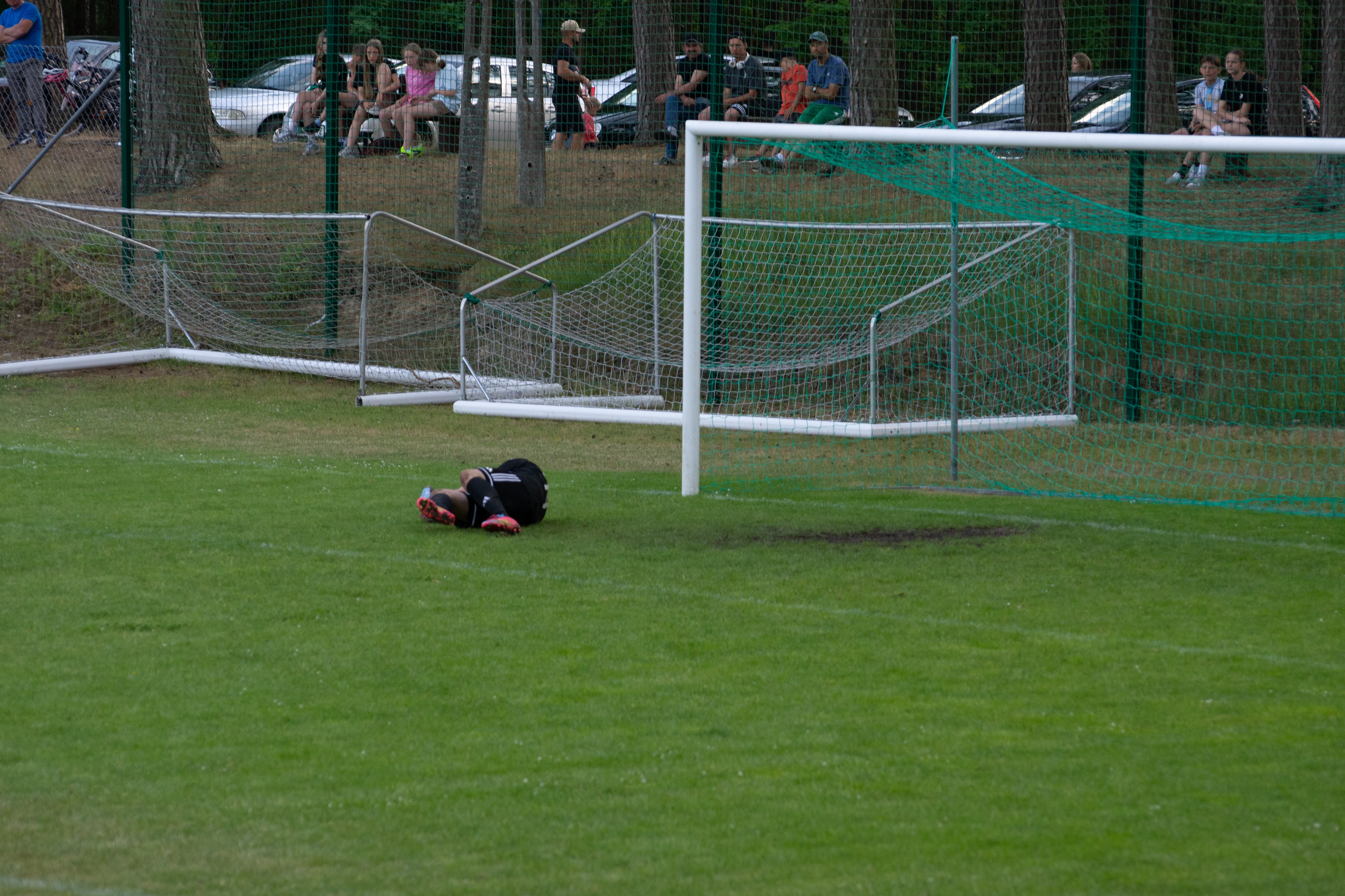 DSC_4617.webp