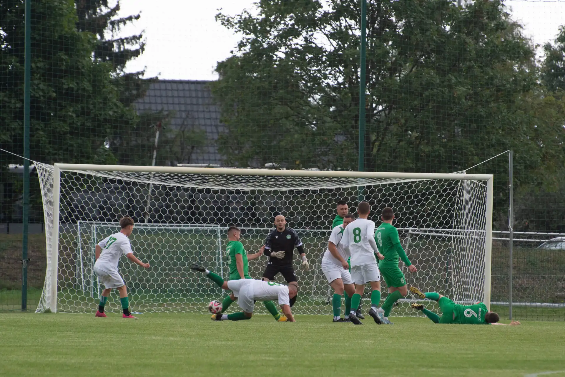 DSC_1473.webp