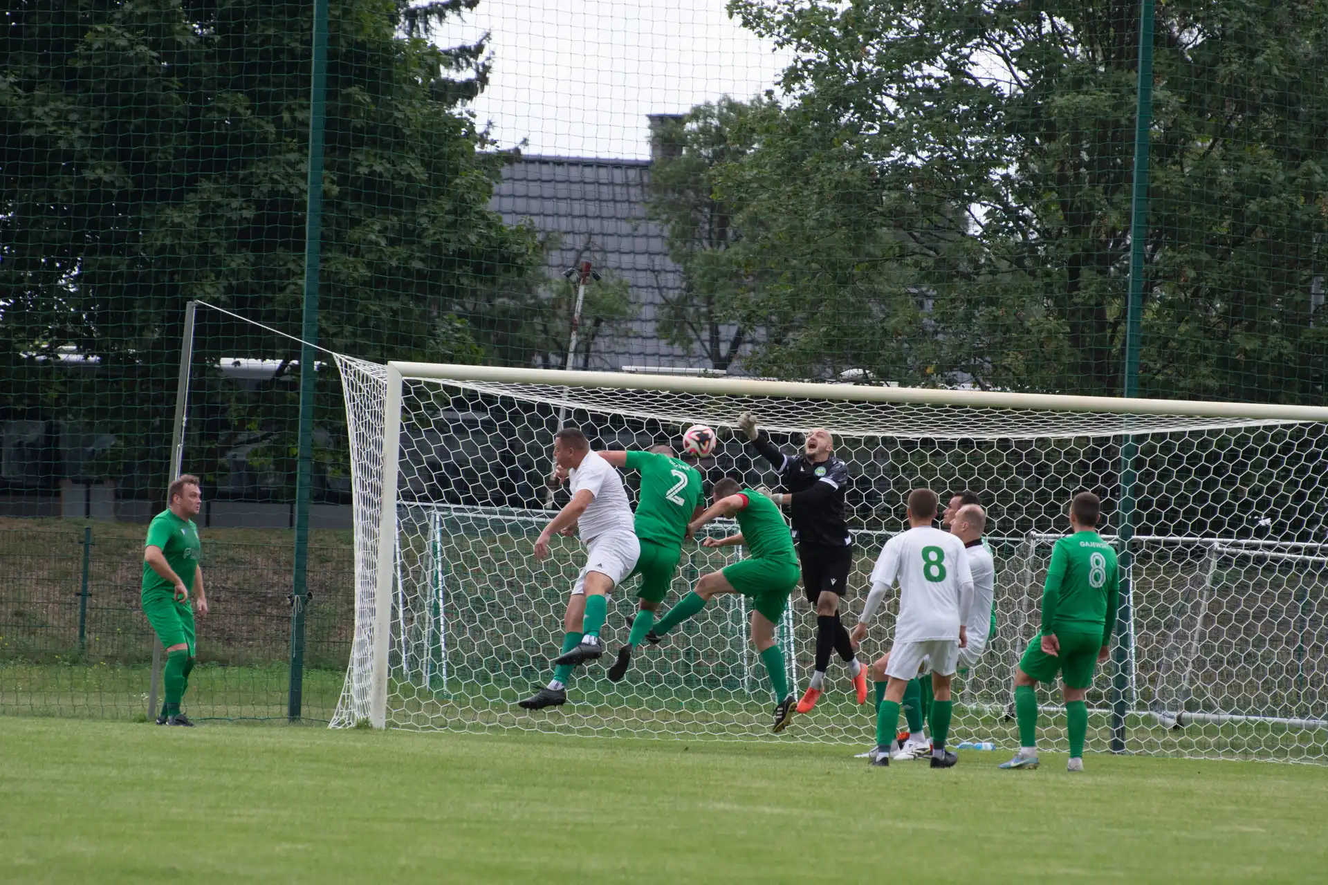 DSC_1482.webp