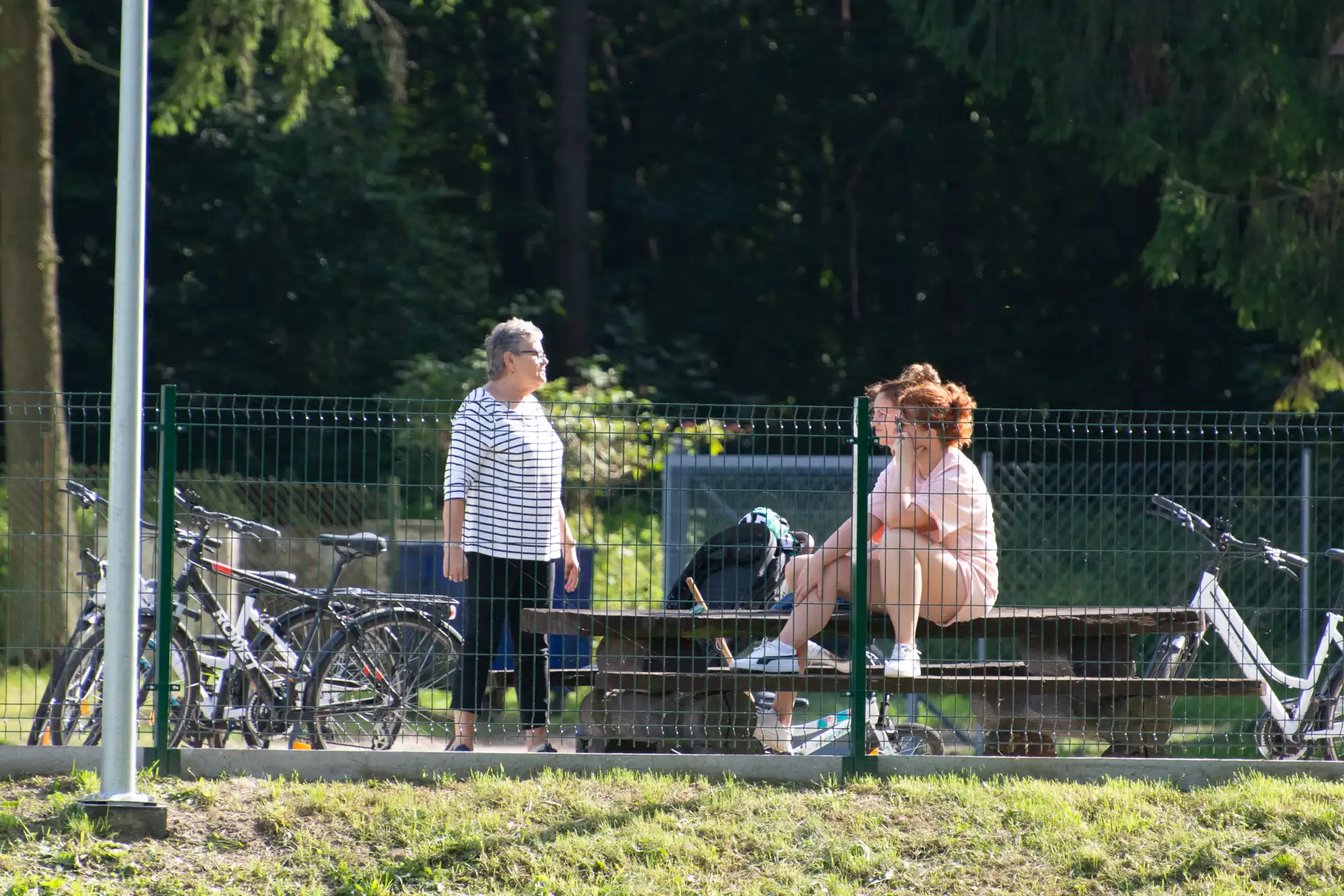 DSC_1643.webp