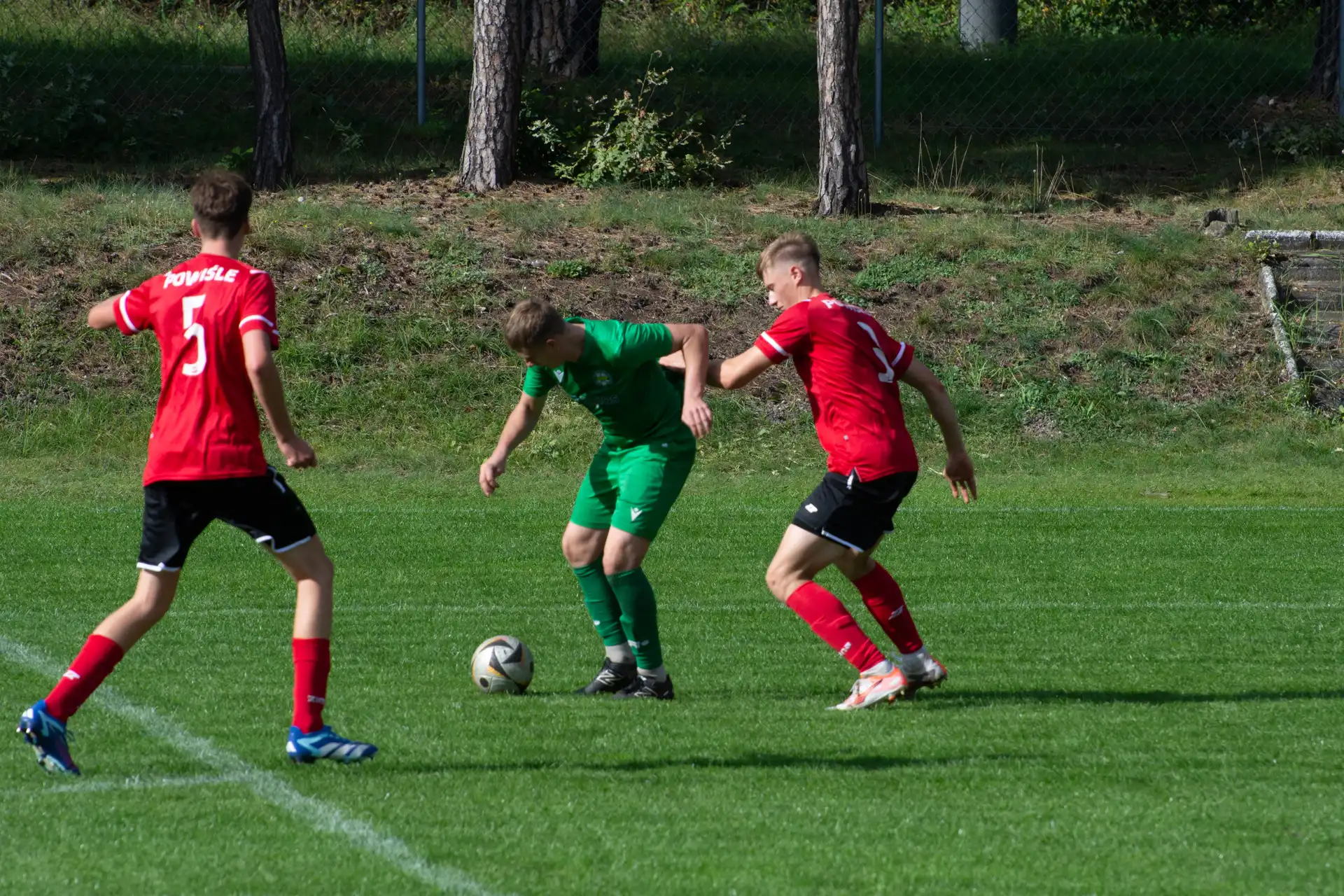 DSC_1677.webp