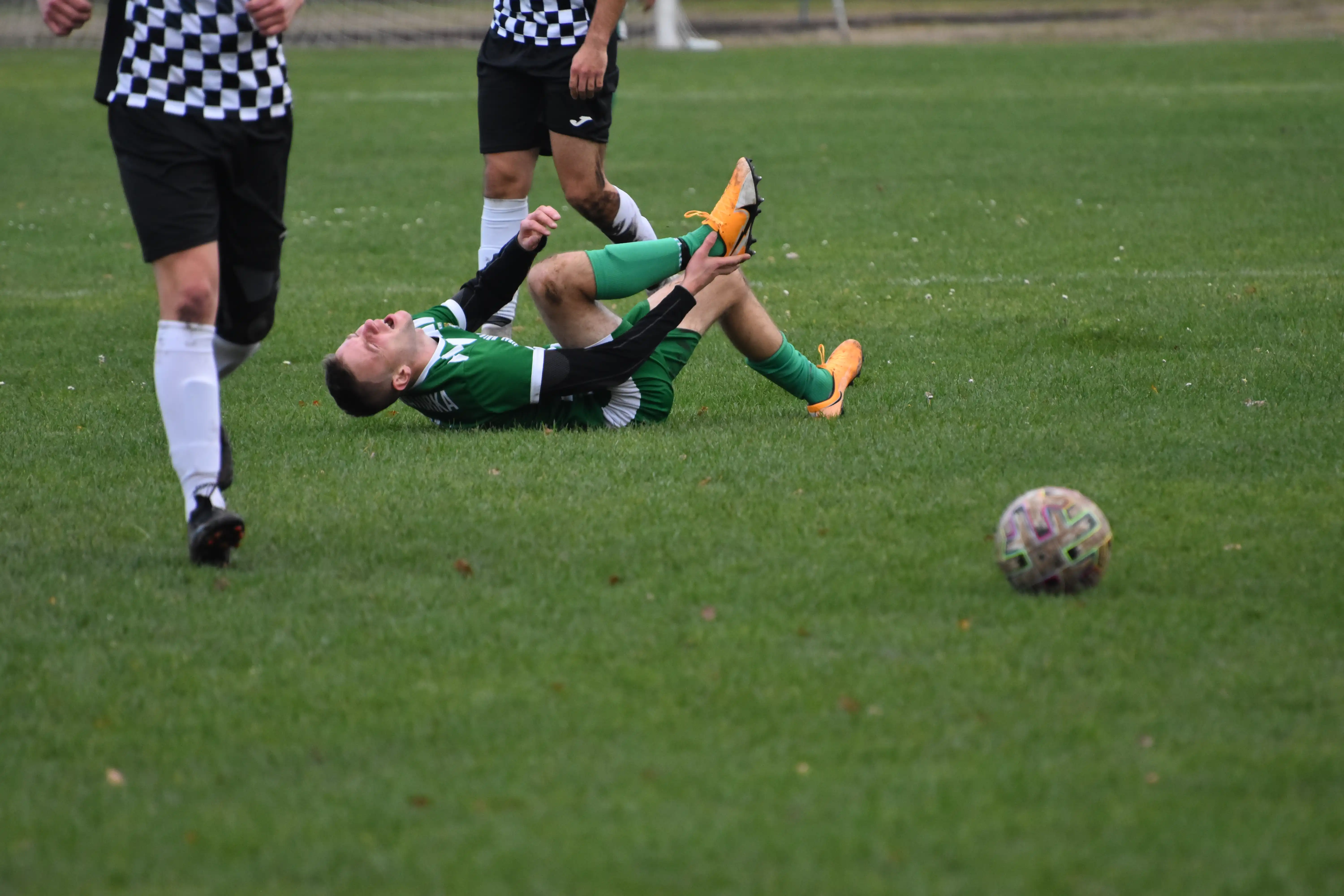 DSC_5455_hwxmbq.webp