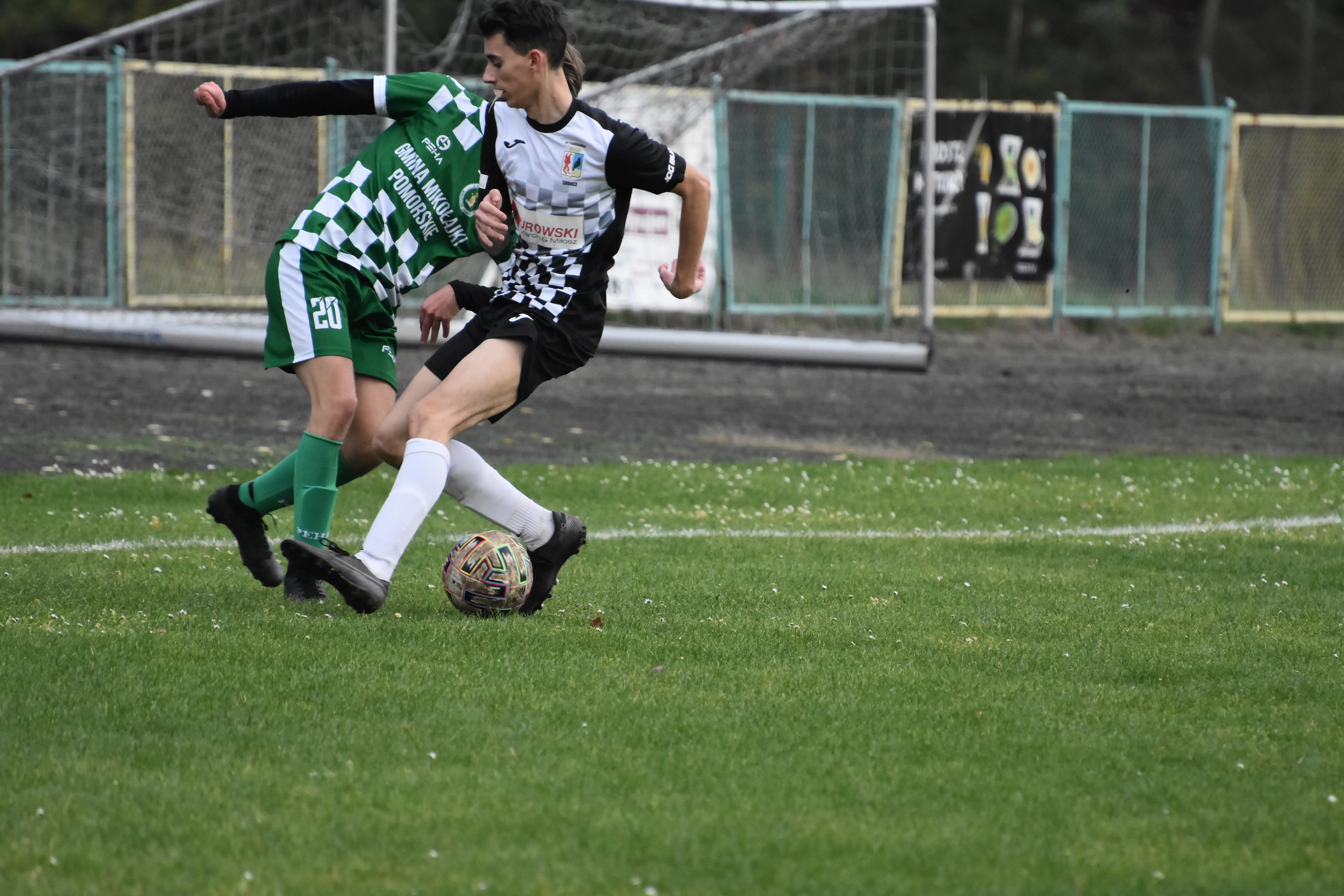 DSC_5467_lioac5.webp