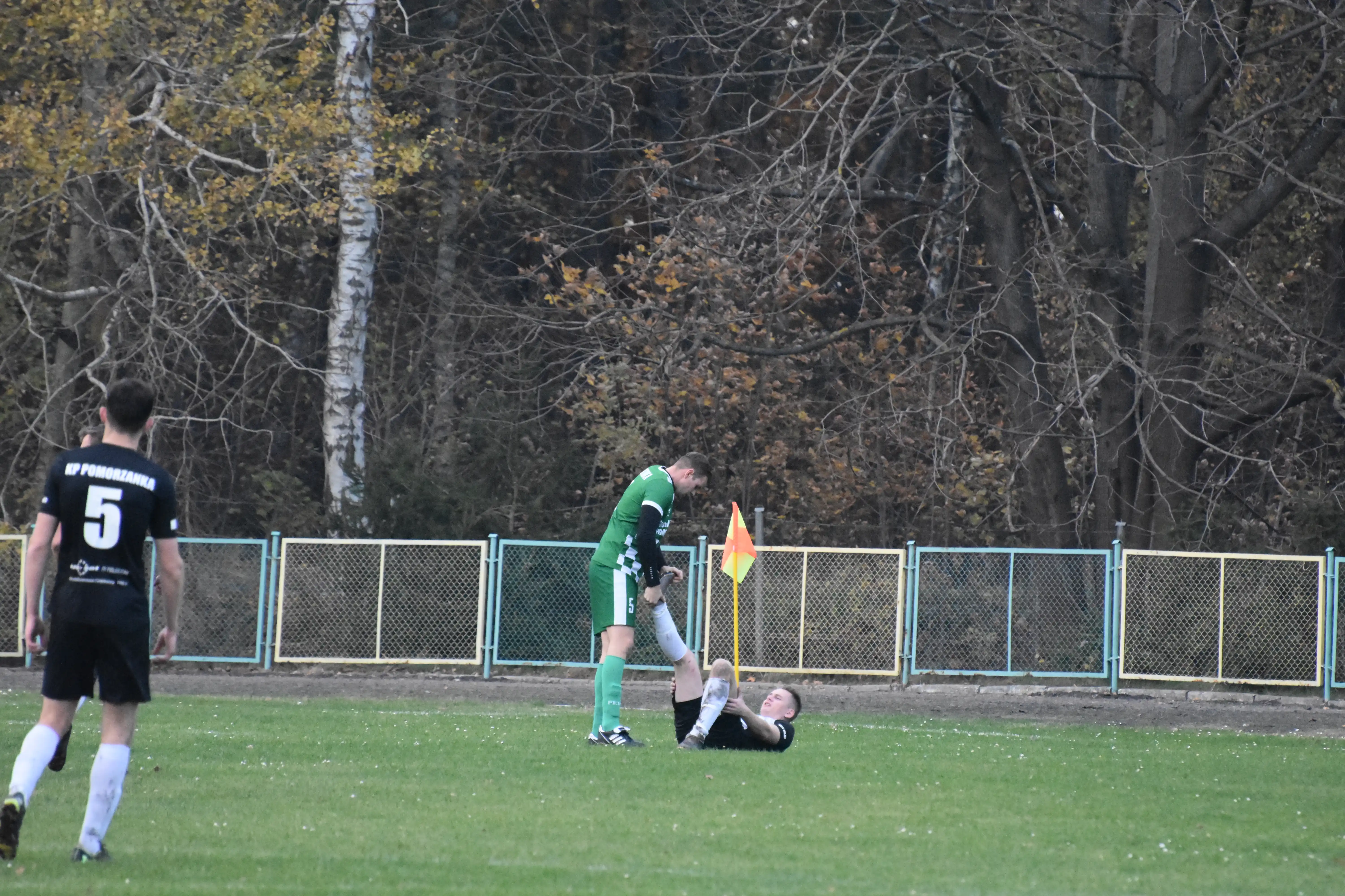 DSC_5536_cqnrjx.webp
