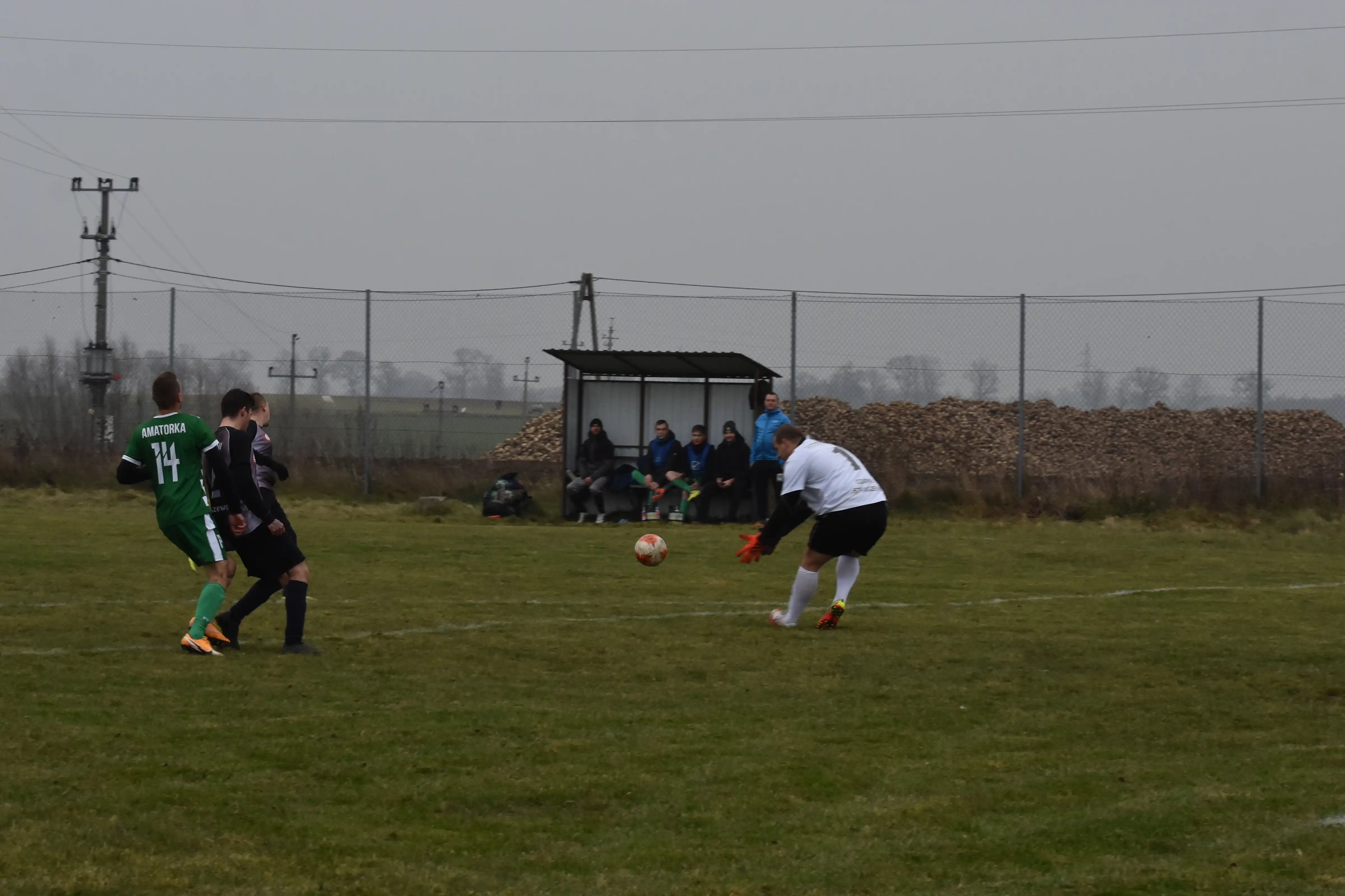 DSC_5974_zxgalk.webp