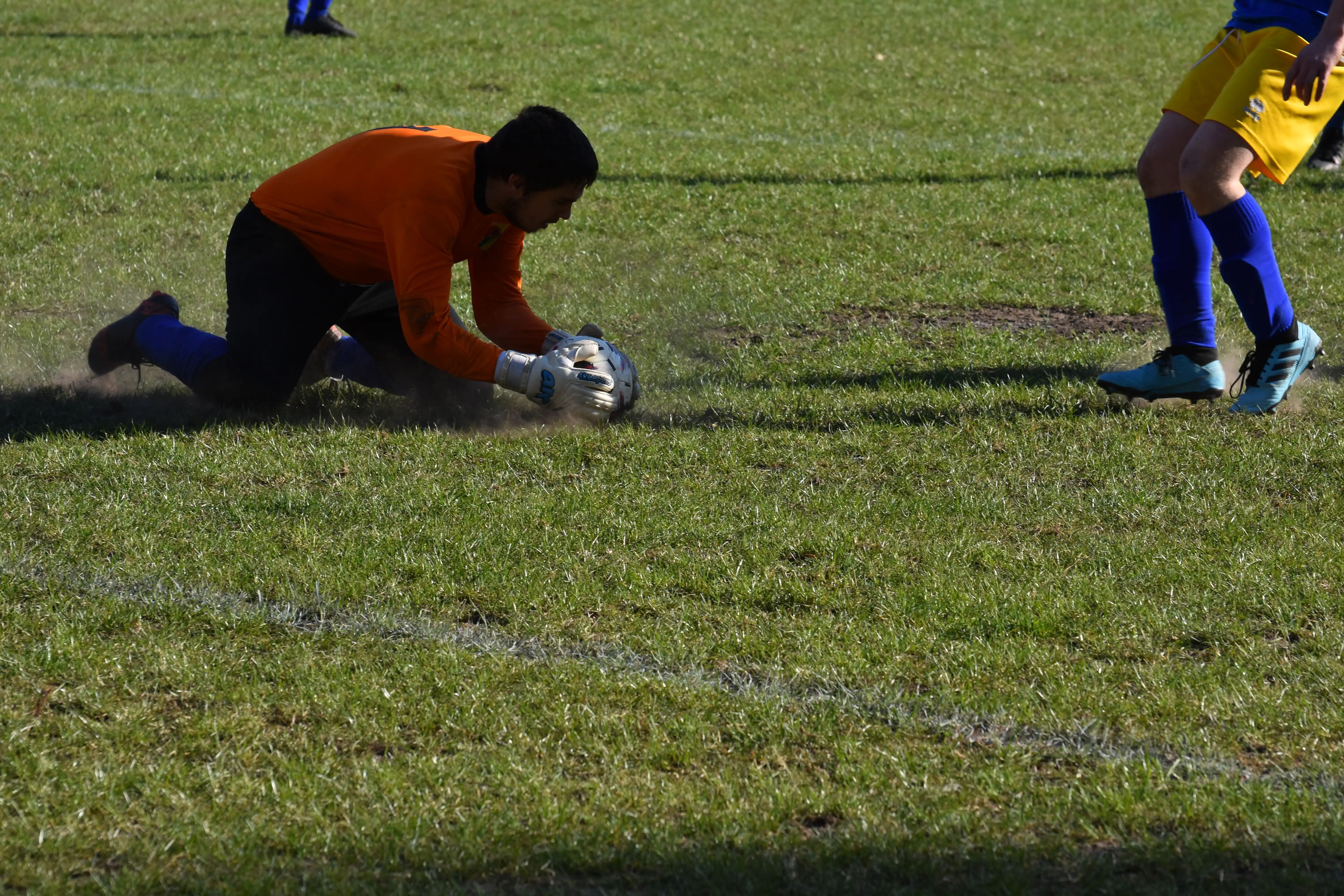 DSC_6669_t8crmn.webp