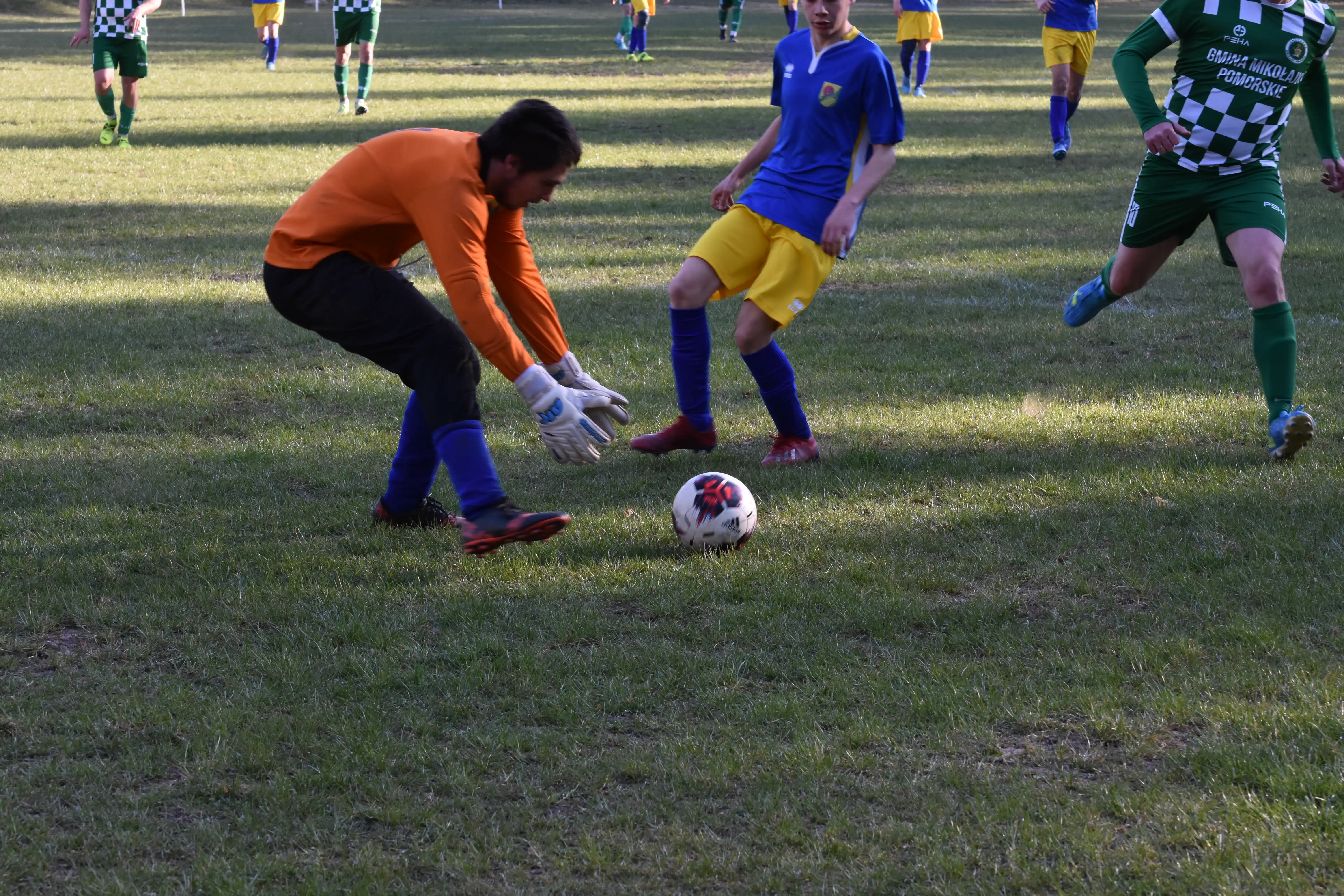 DSC_6699_wlpz32.webp