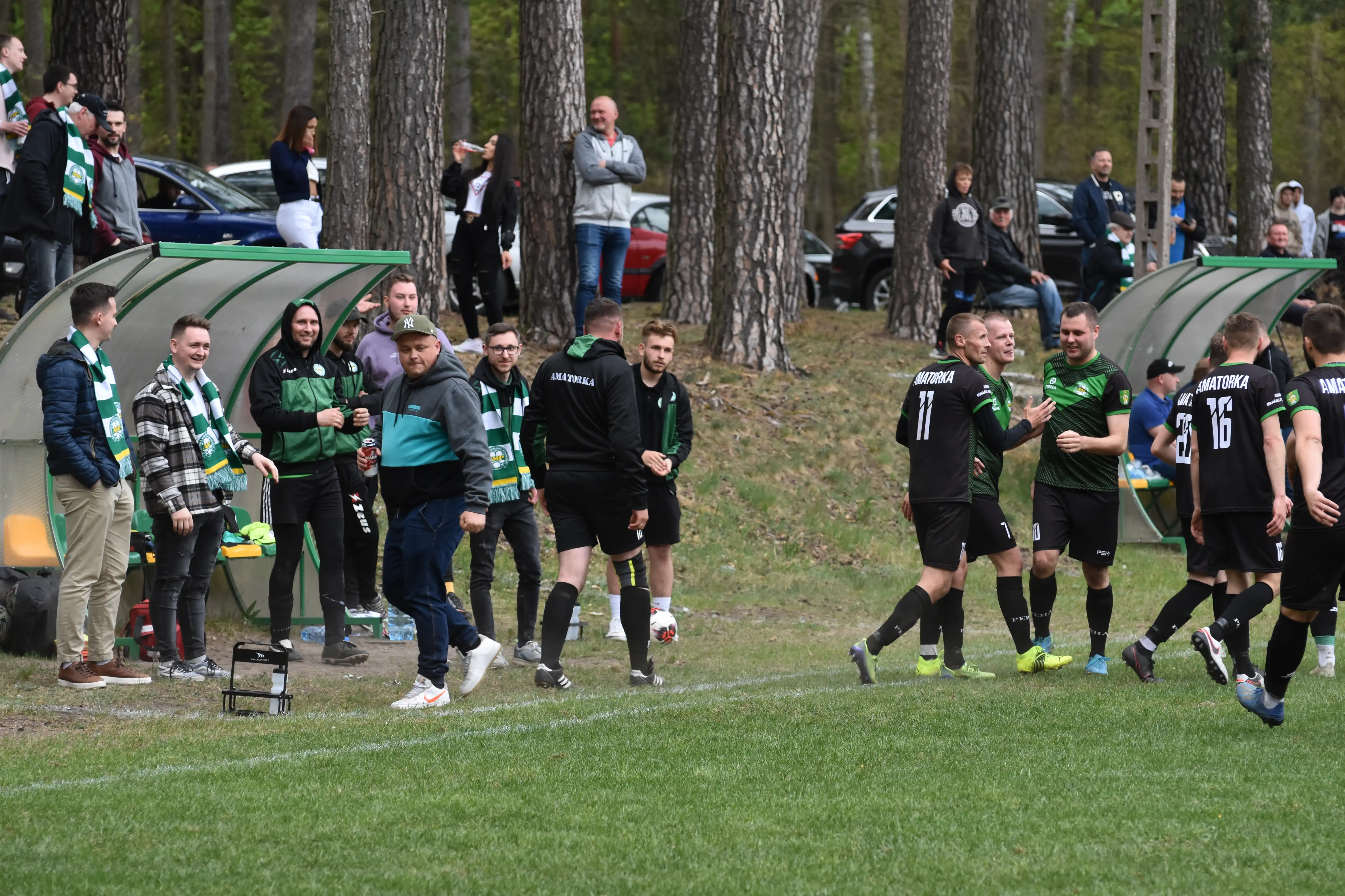 DSC_7193_p65nf8.webp