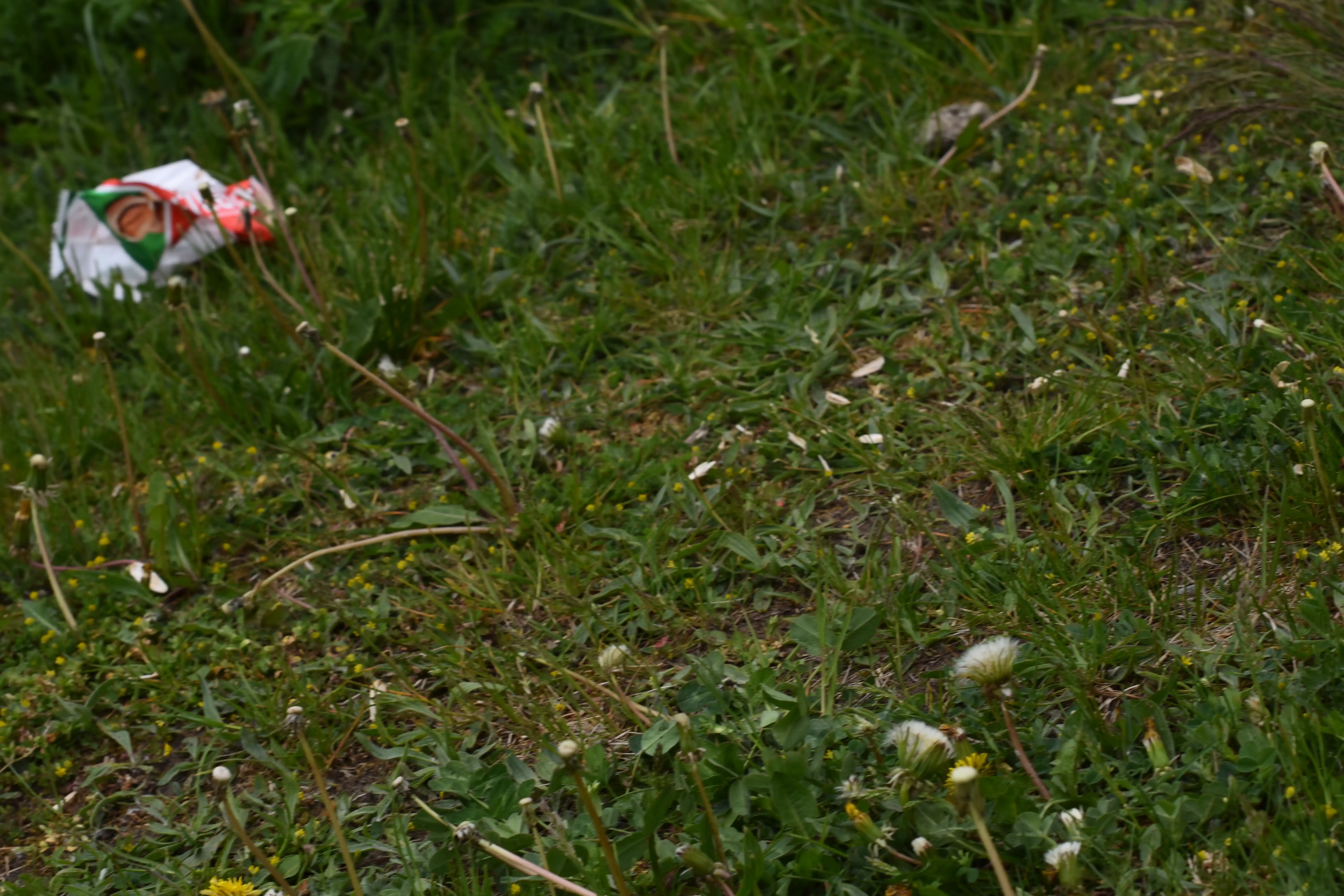 DSC_7278_k2nsyd.webp