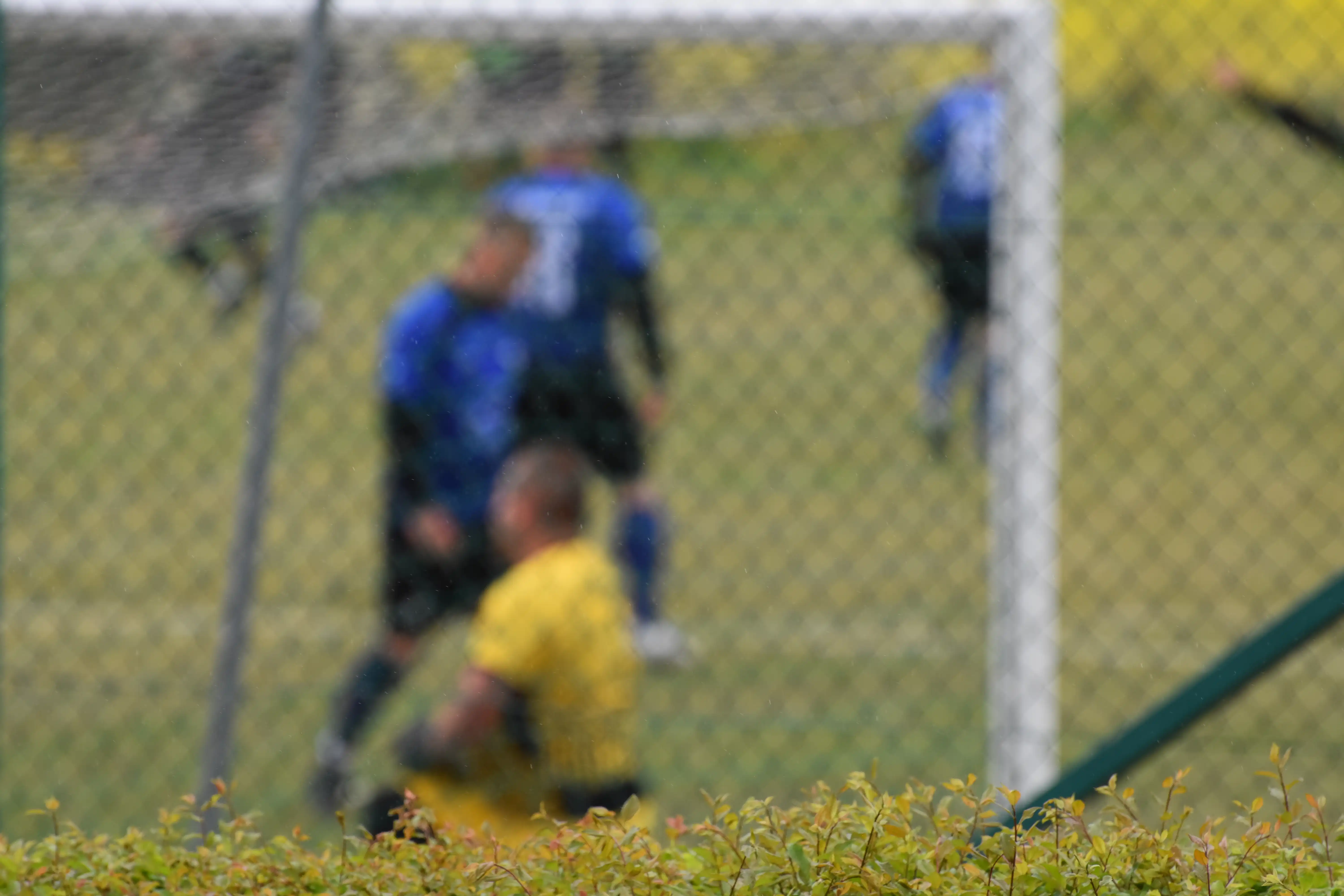 DSC_7293_dhxfth.webp