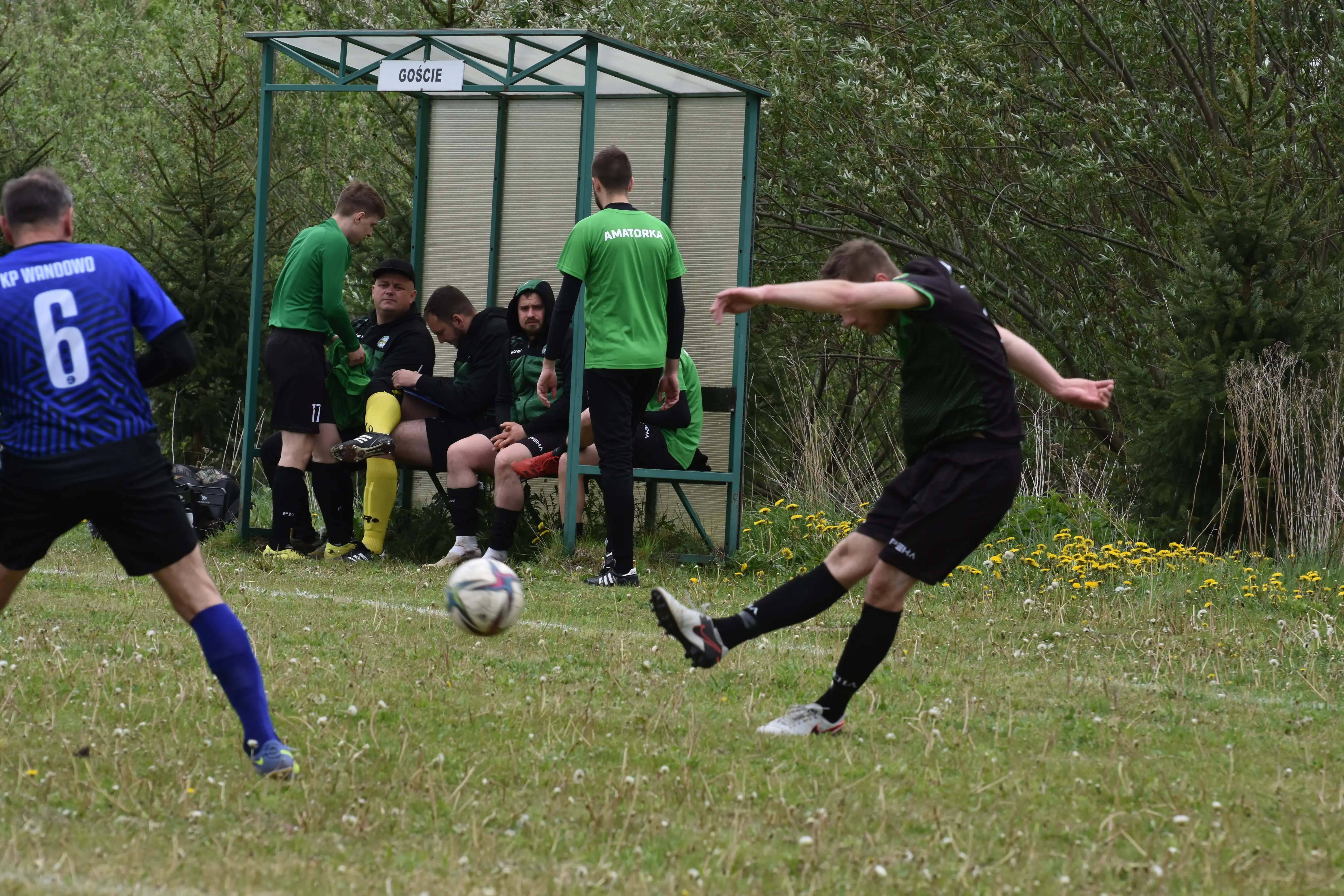 DSC_7376_v0stap.webp
