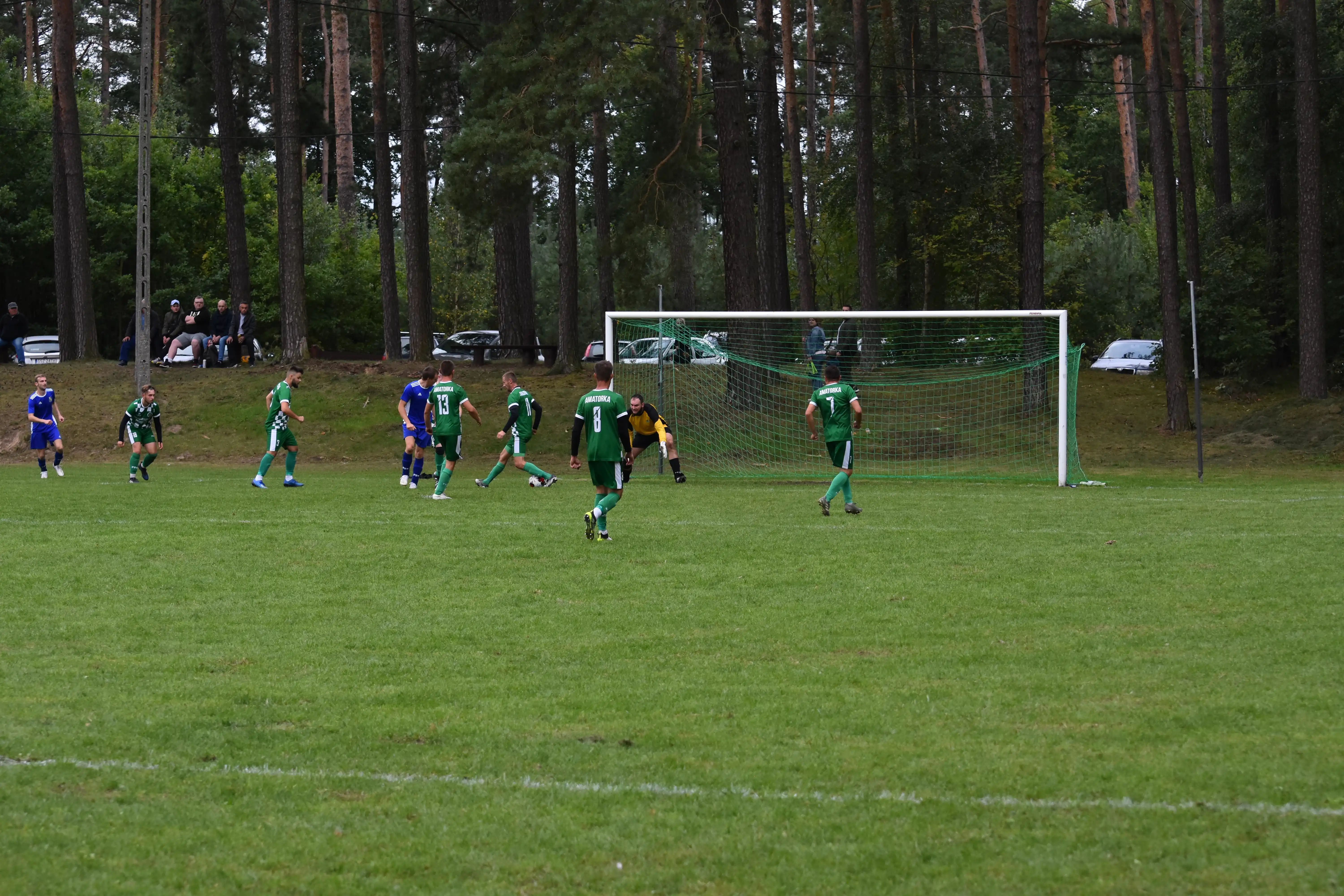 DSC_4729_snjono.webp