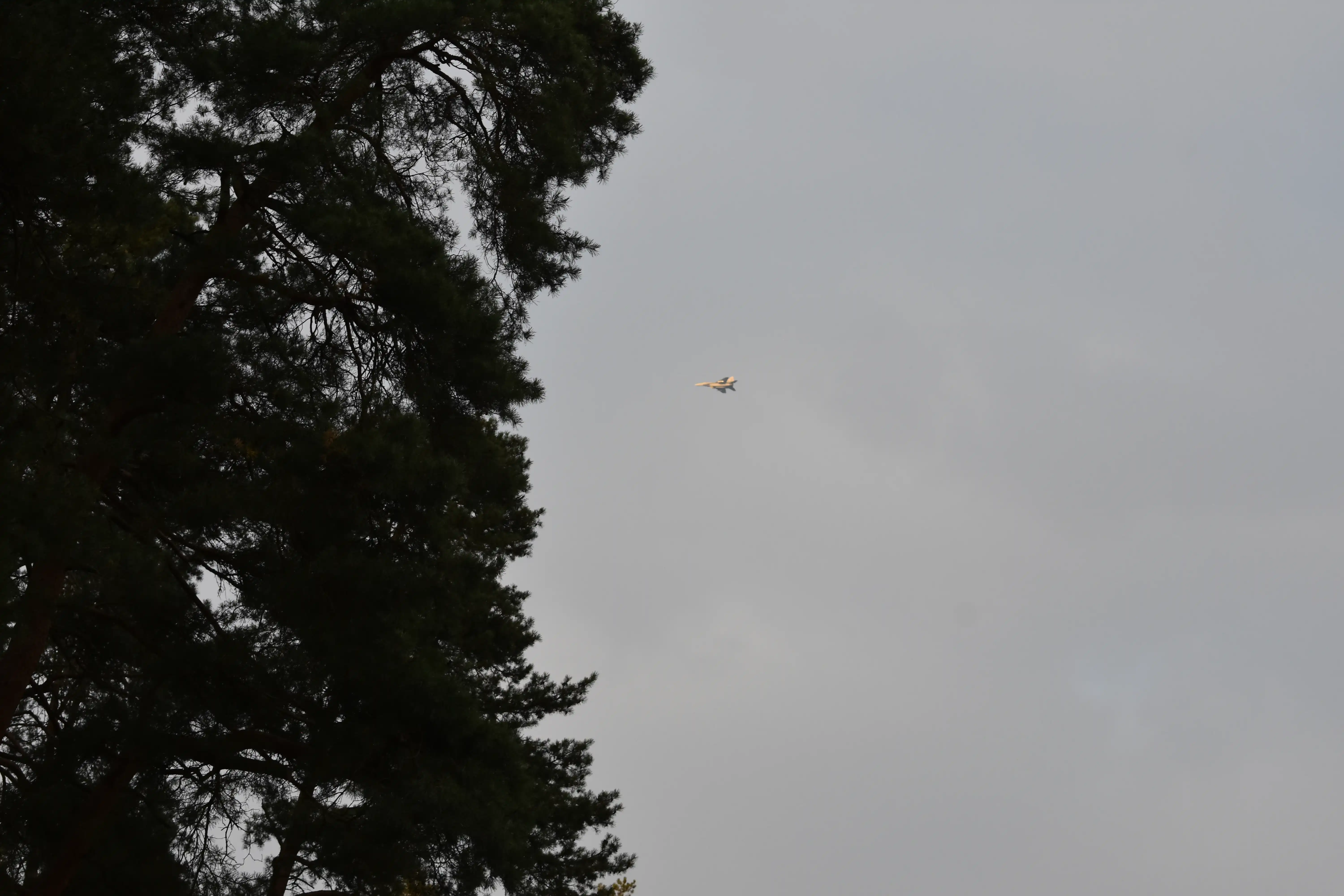 DSC_4976_kqwguv.webp