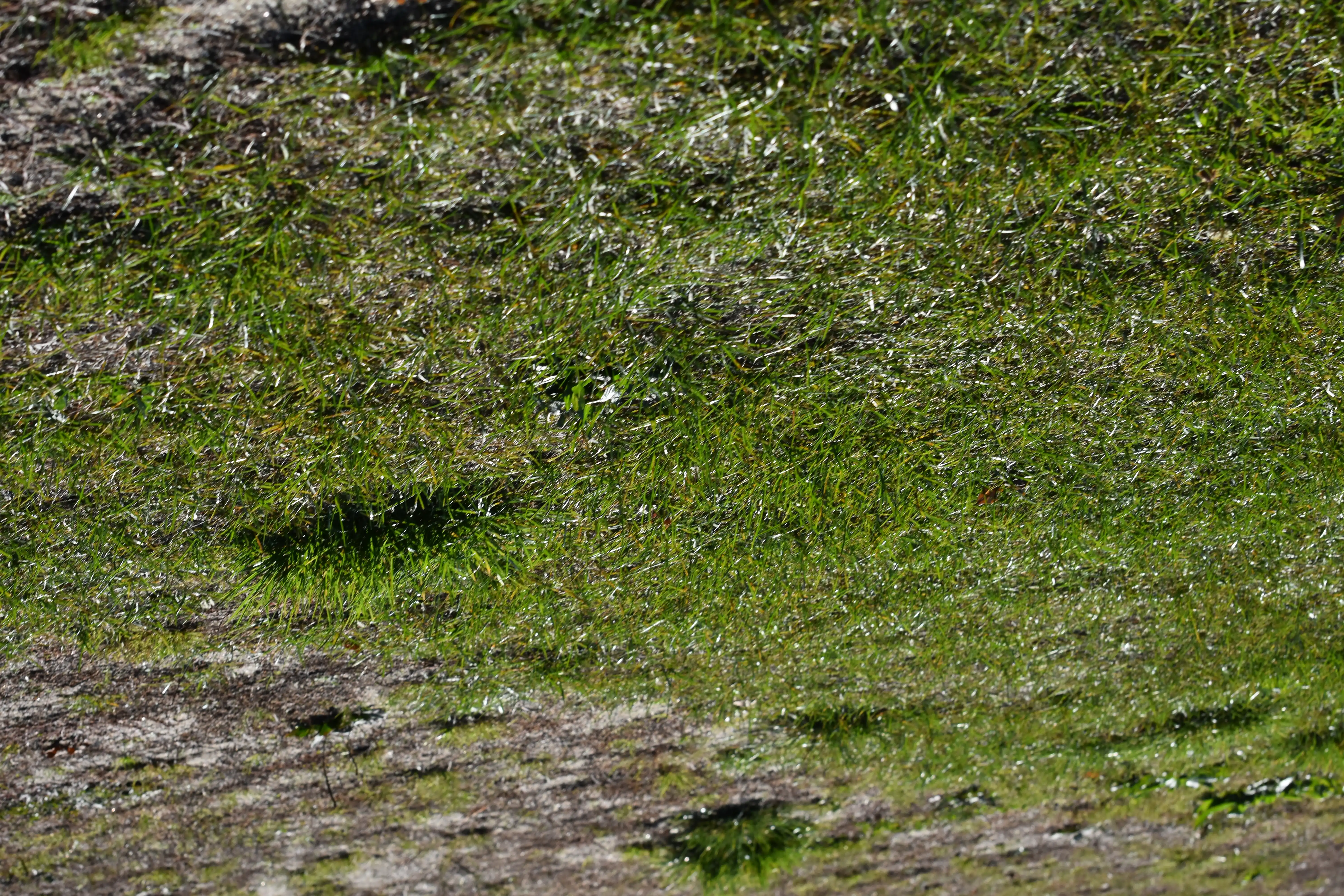 DSC_5013_wmveyy.webp