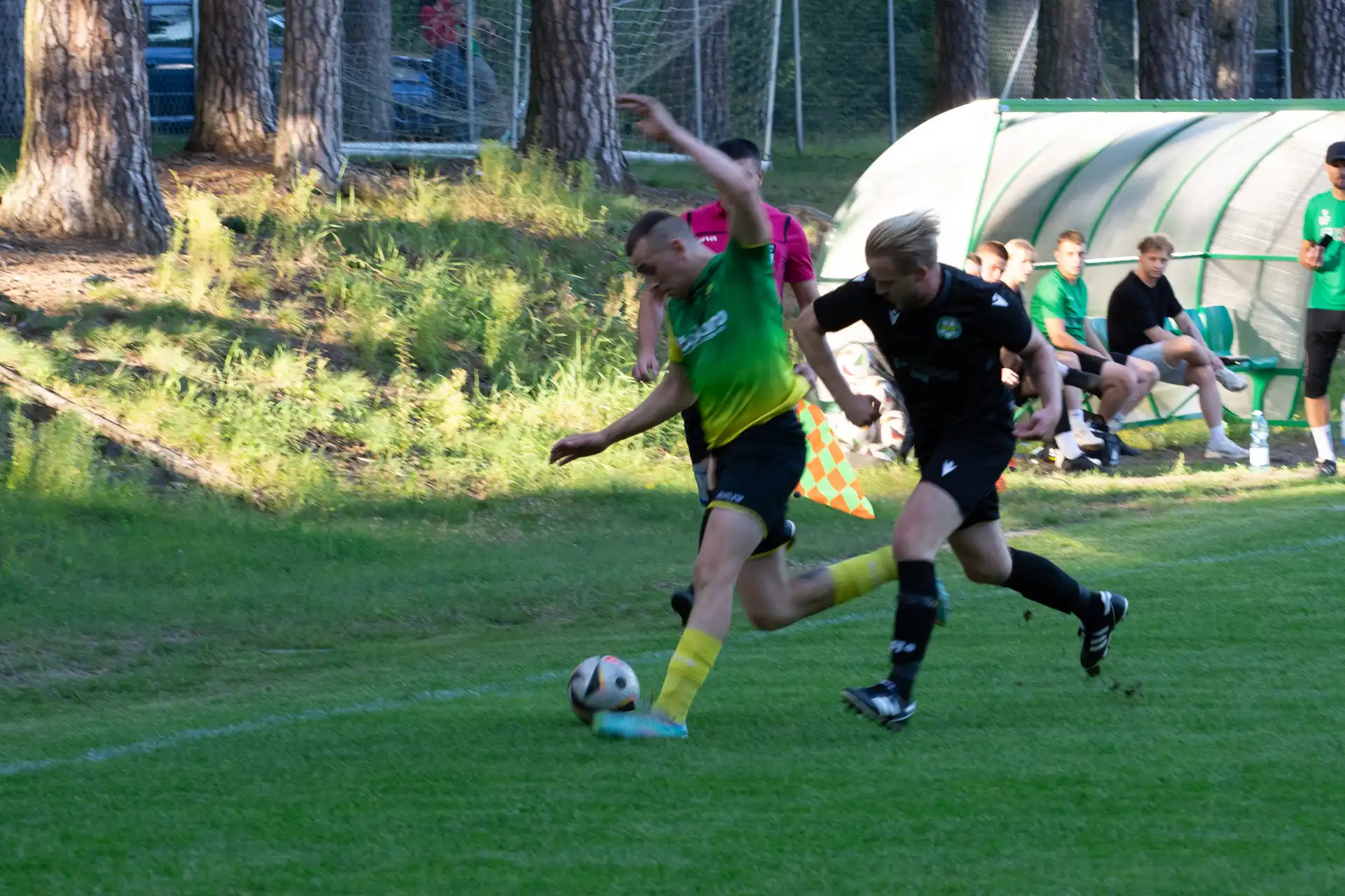 DSC_1384.webp