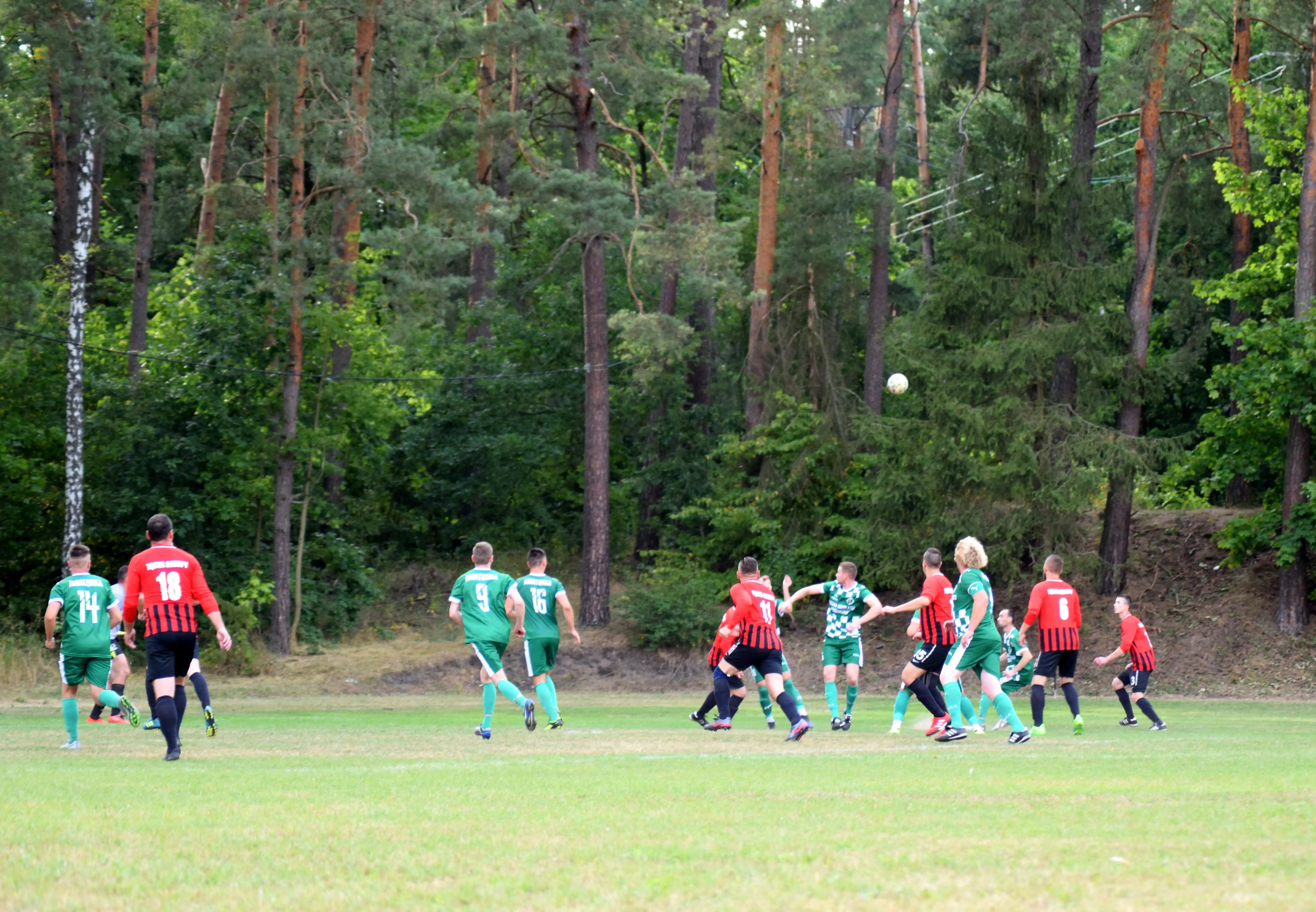 DSC_0923_luxevl.webp