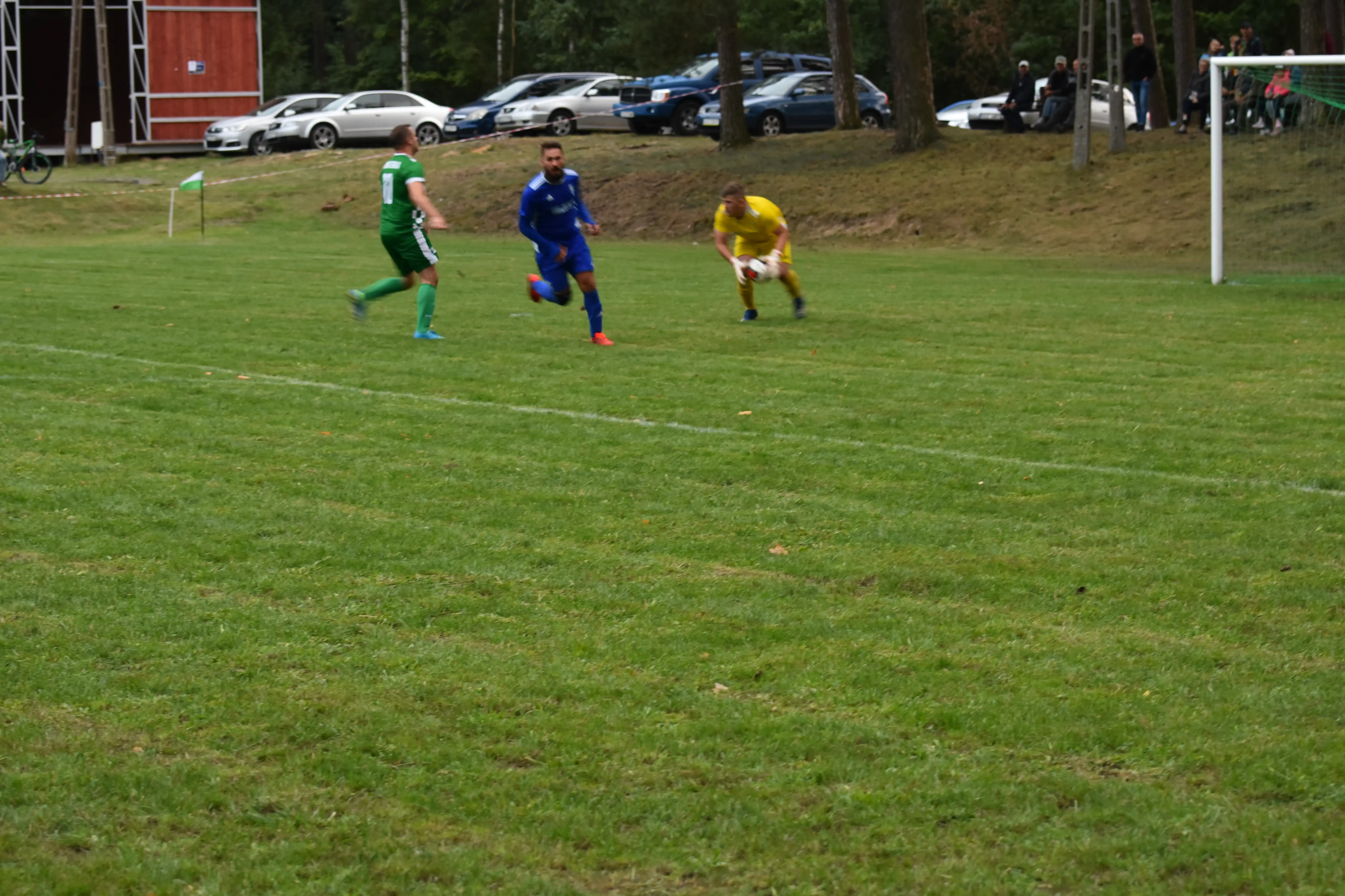 DSC_4261_ammpf4.webp