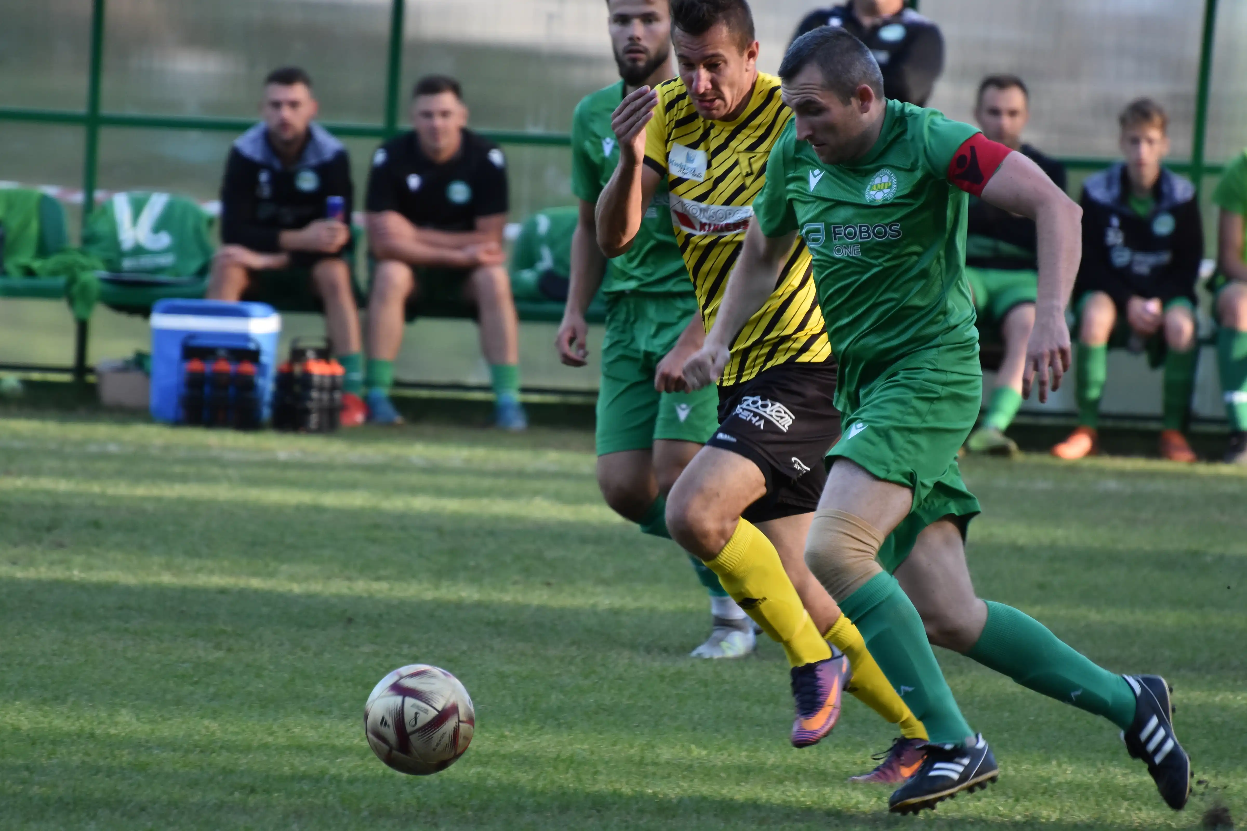 DSC_4133_r6q4i0.webp