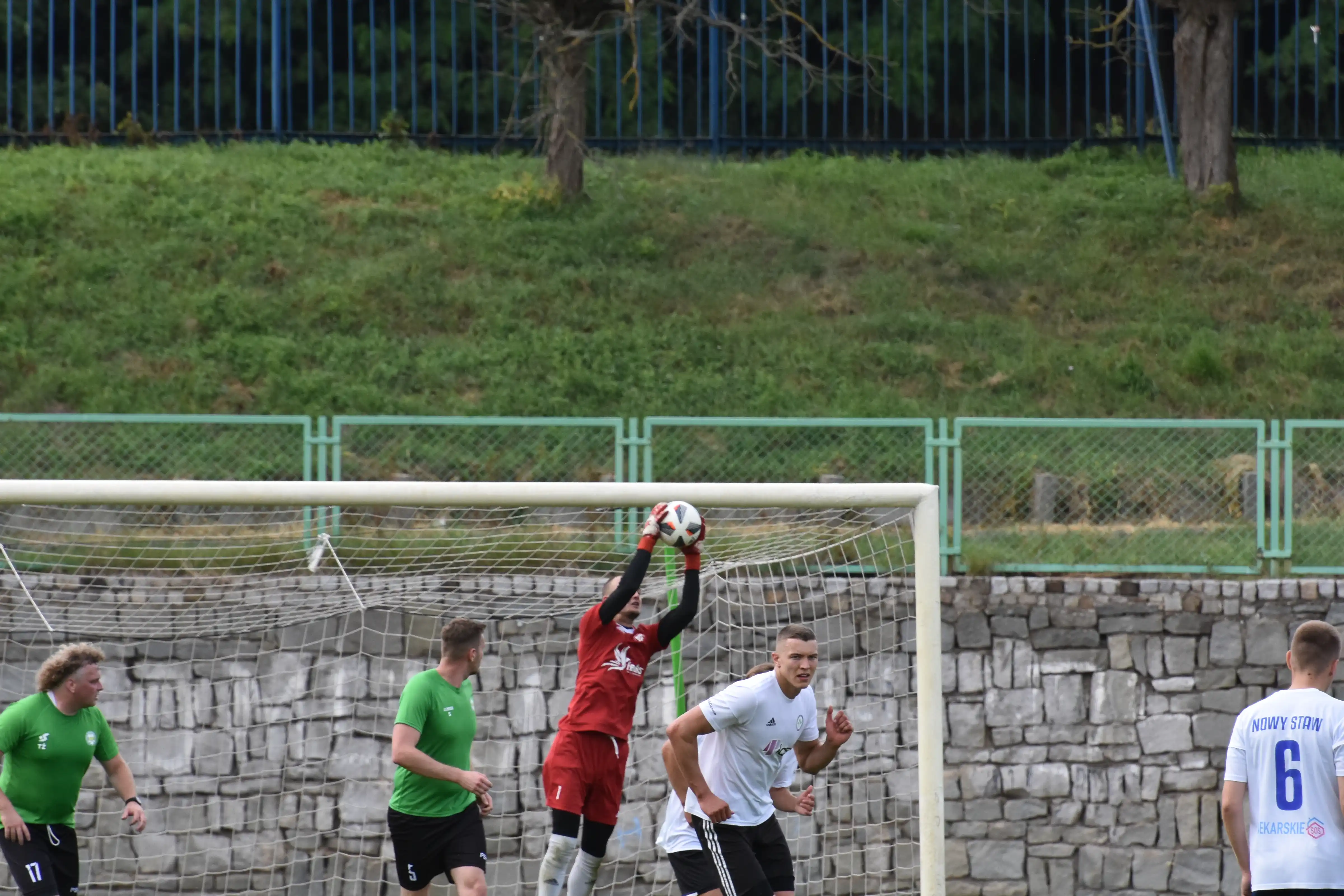 DSC_8876_tel7ba.webp