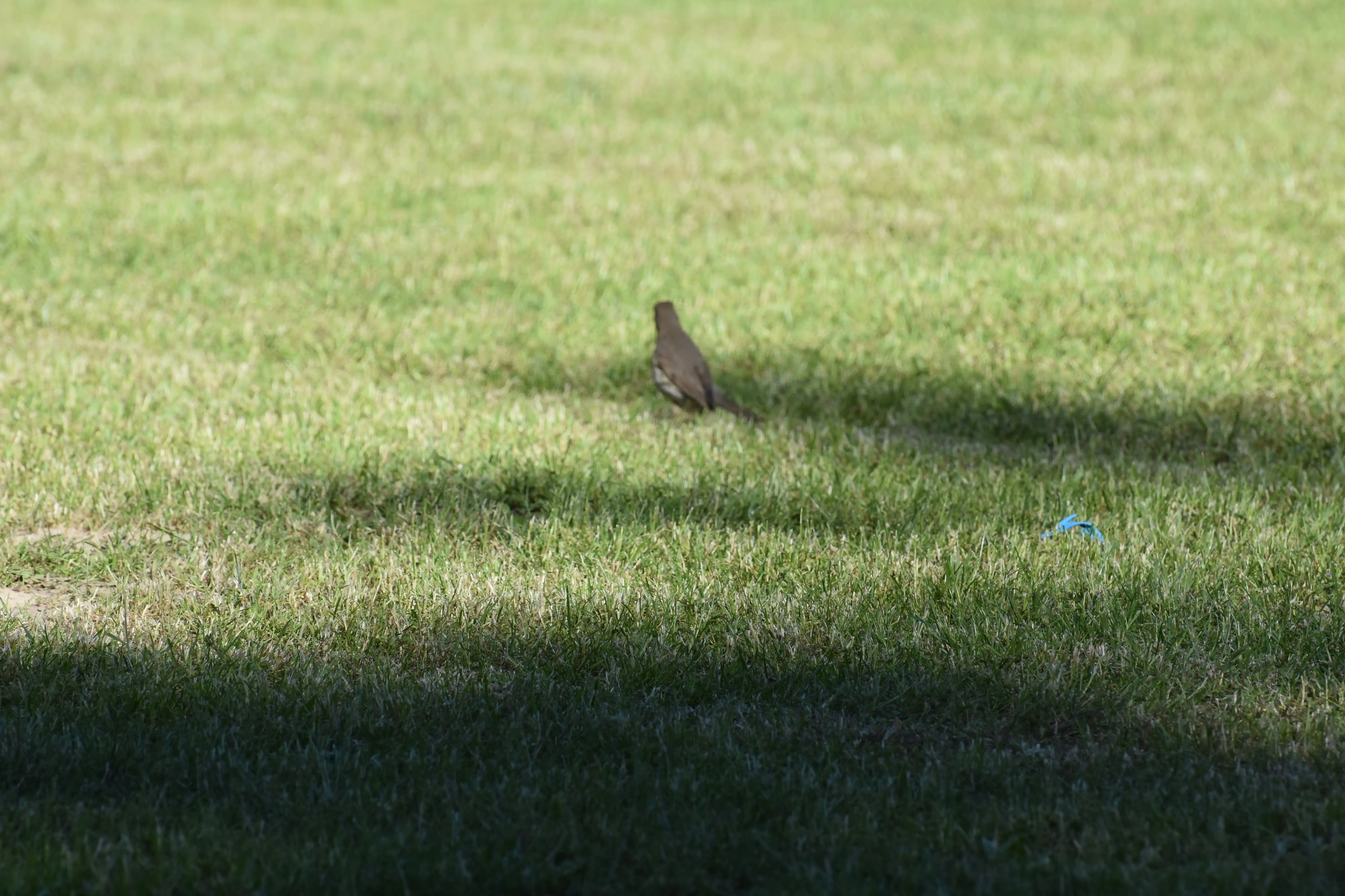 DSC_3746_wnj8cj.webp