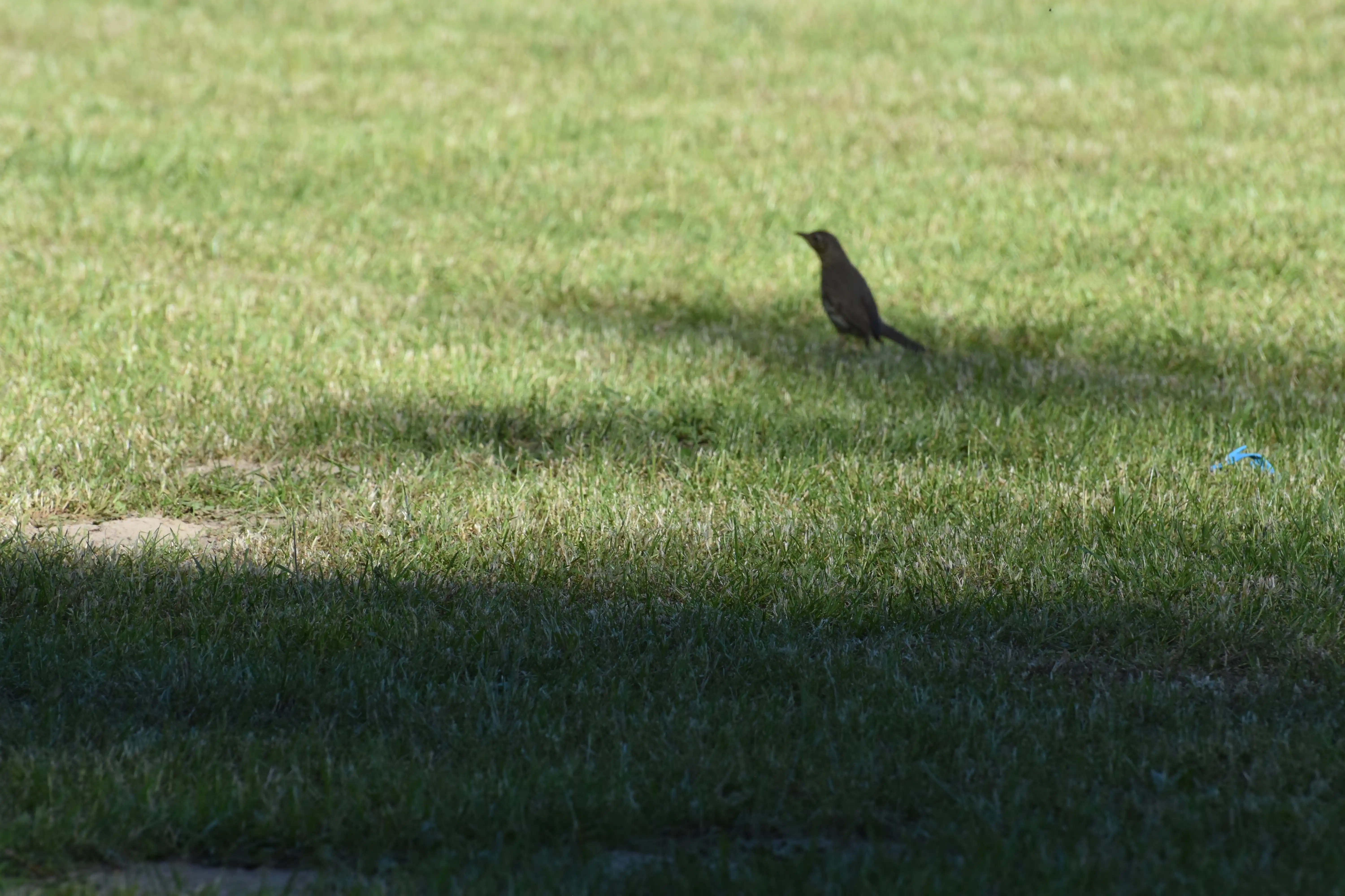 DSC_3747_rld5hb.webp